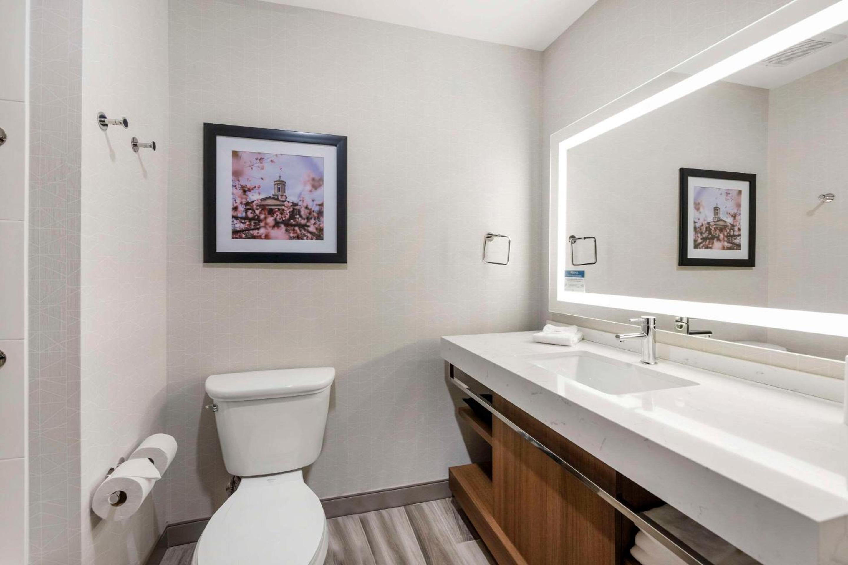 Comfort Inn Suites Gallatin - Nashville Metro - Property Image 8