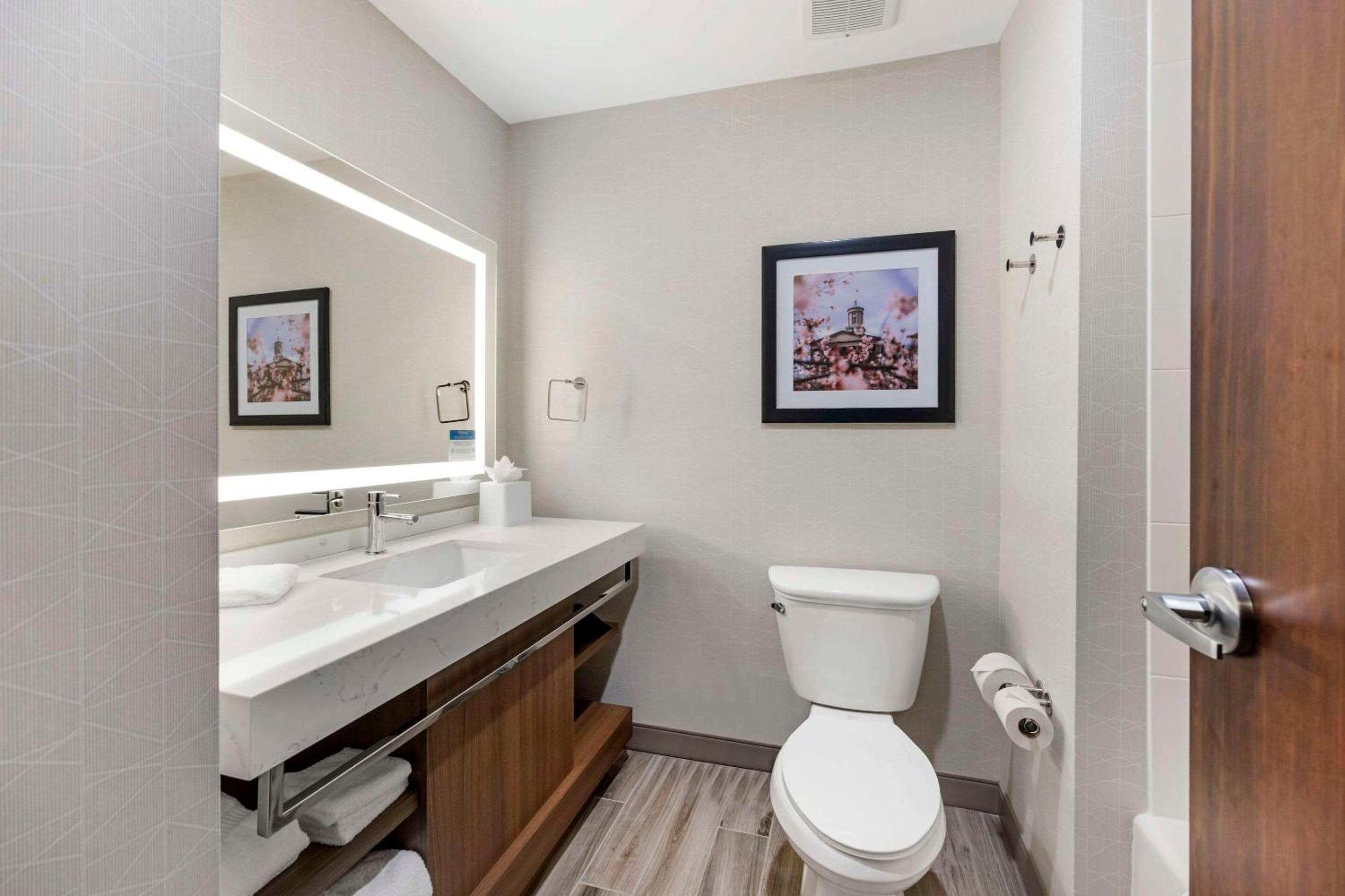 Comfort Inn Suites Gallatin - Nashville Metro - Property Image 16