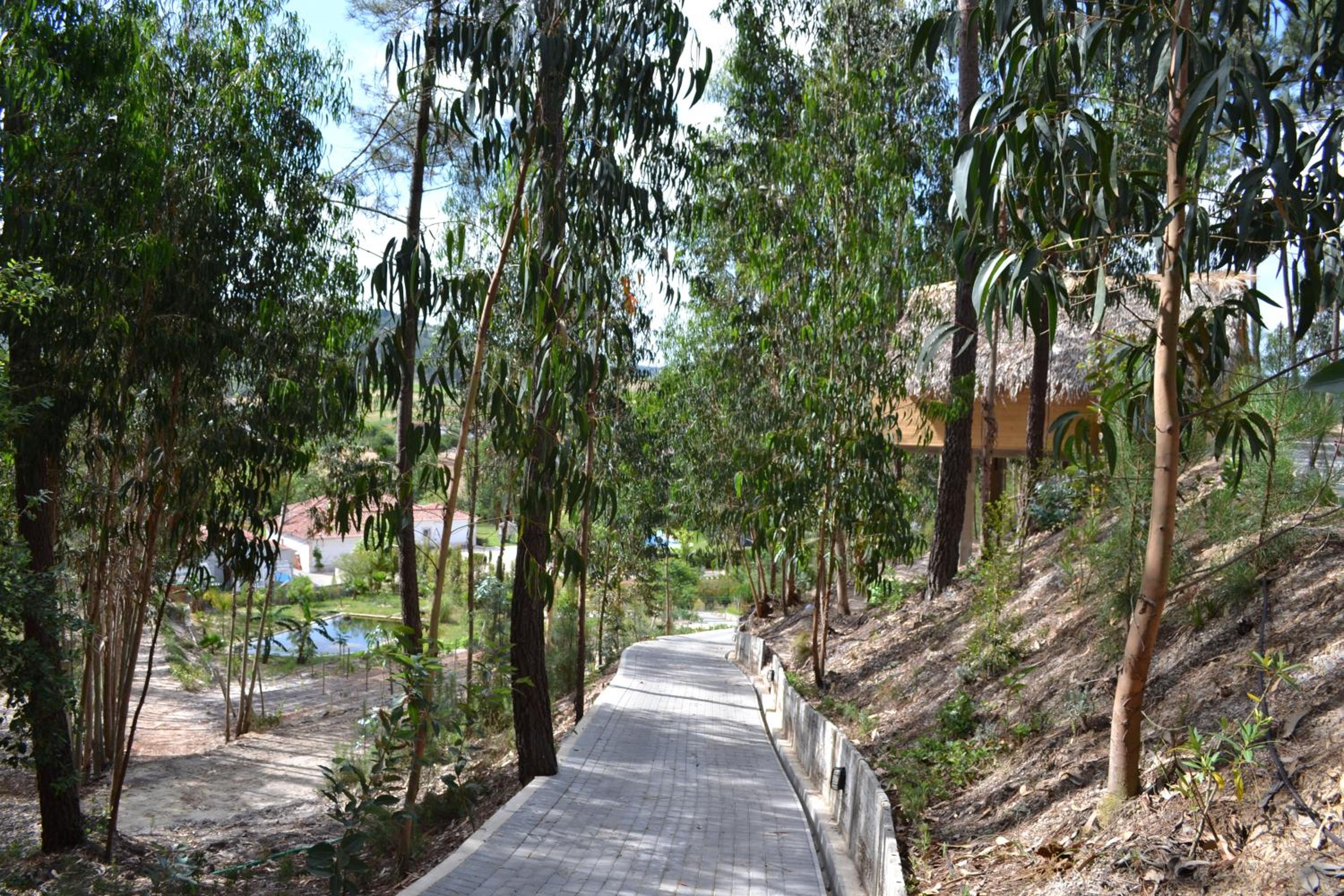MountView
