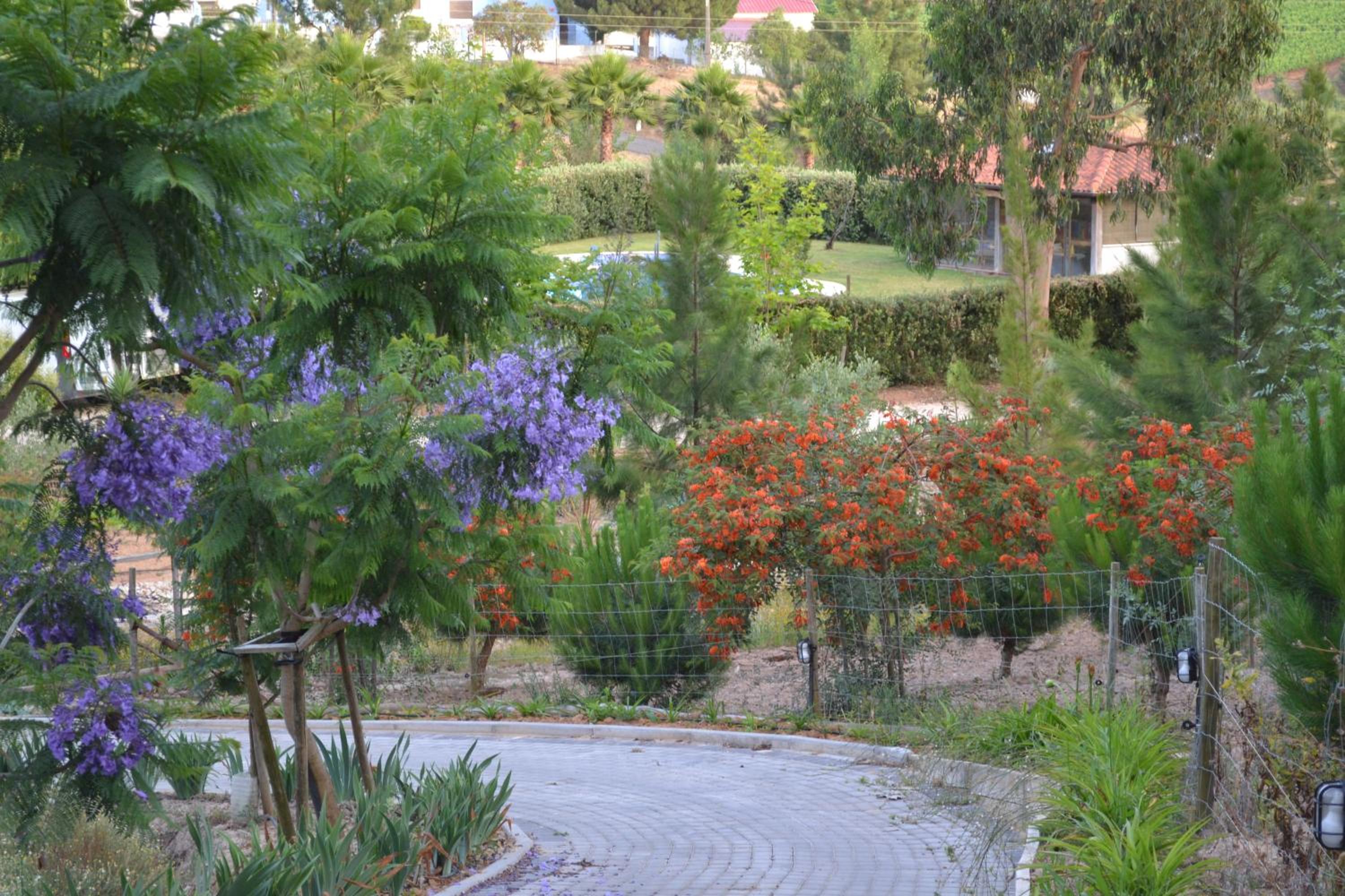 MountView