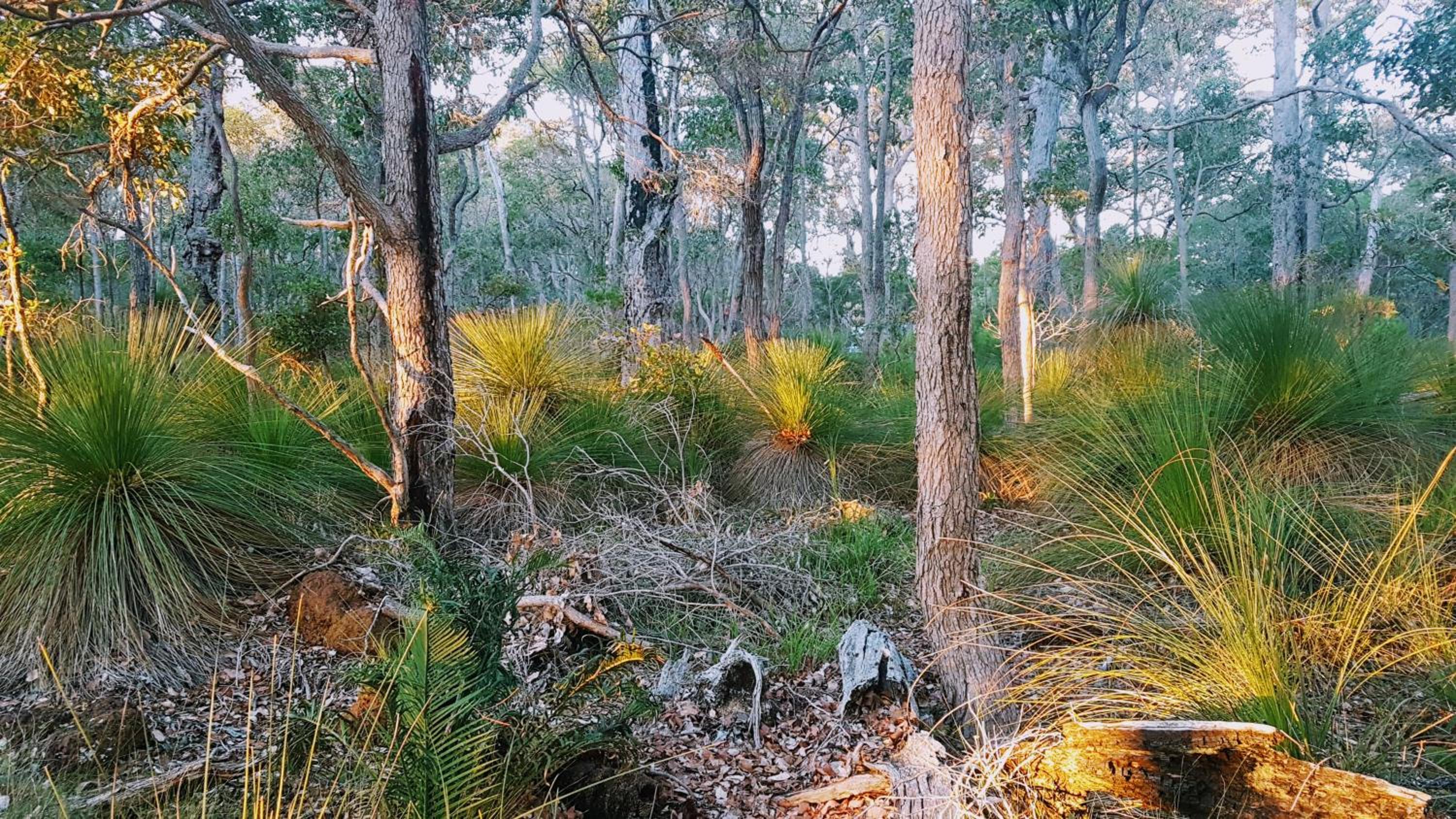 Bussells Bushland Cottages