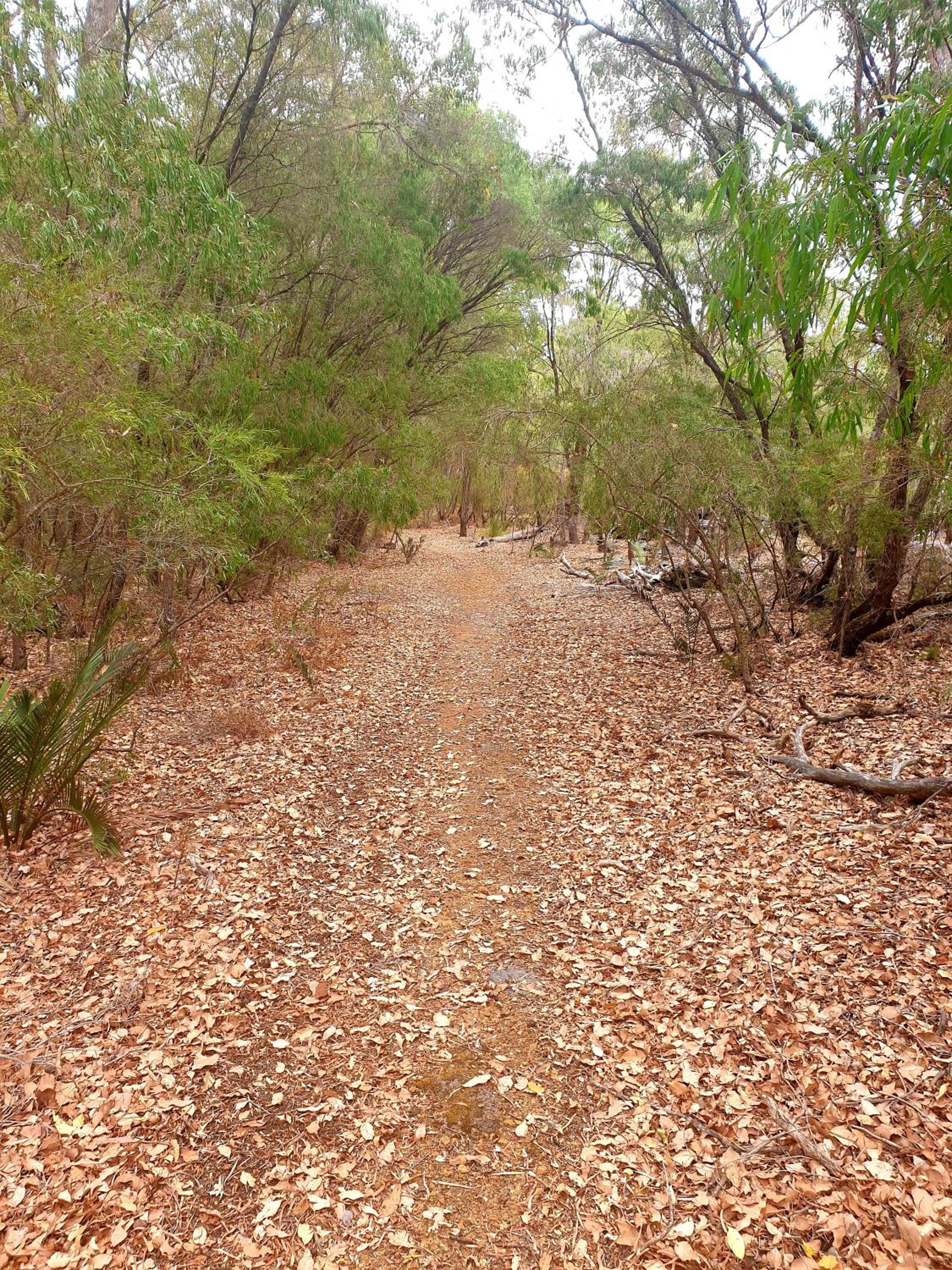 Bussells Bushland Cottages