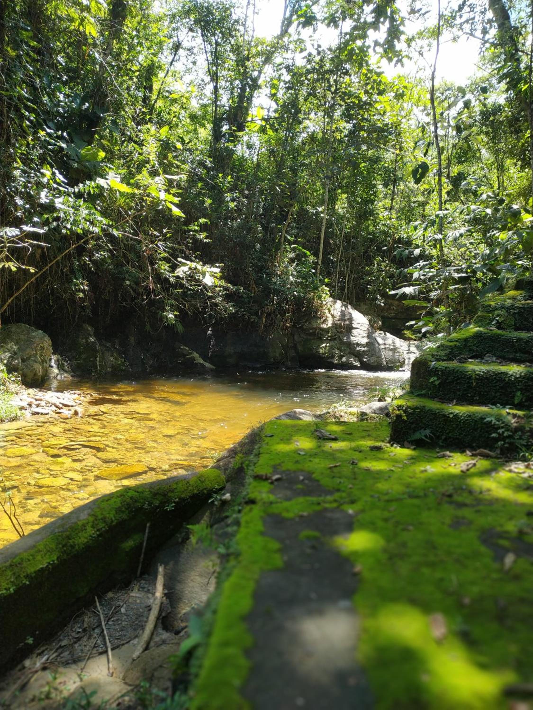 Casa do Cedro - Sítio Cascatinha