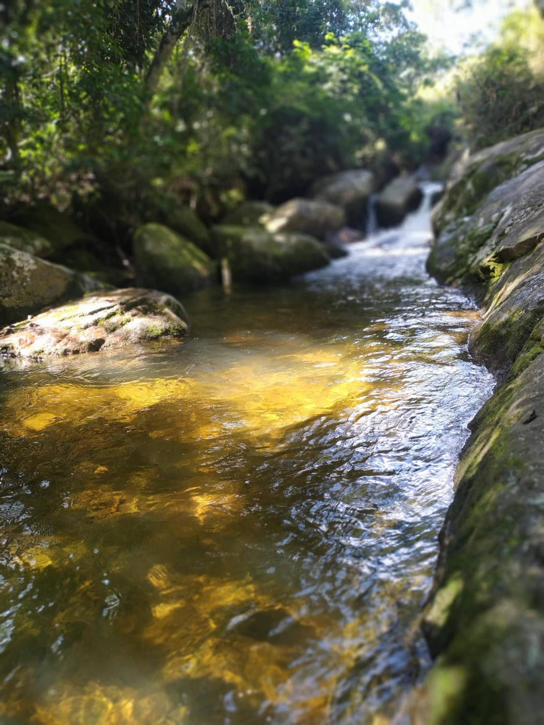 Casa do Cedro - Sítio Cascatinha