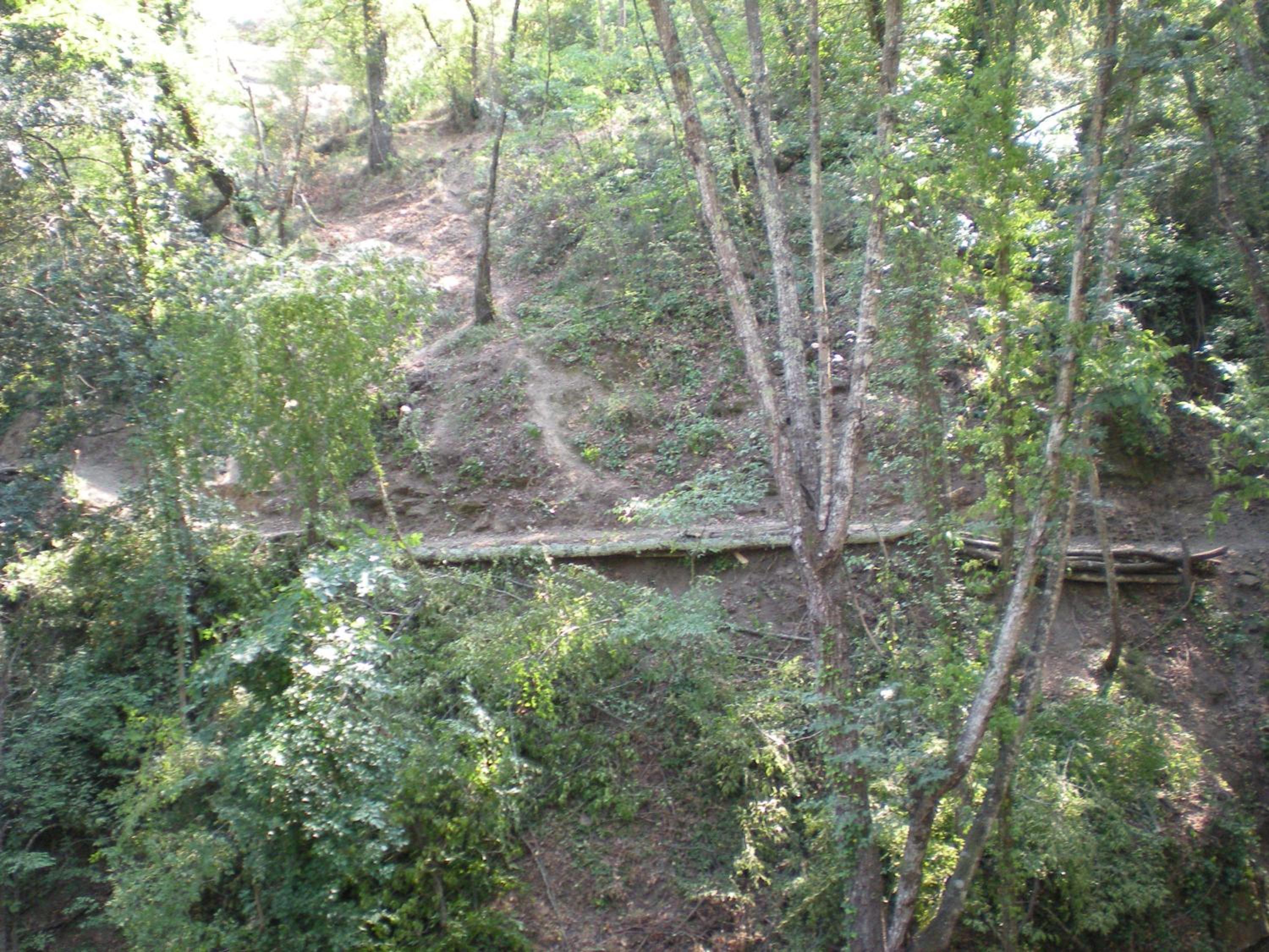 Photo 90
