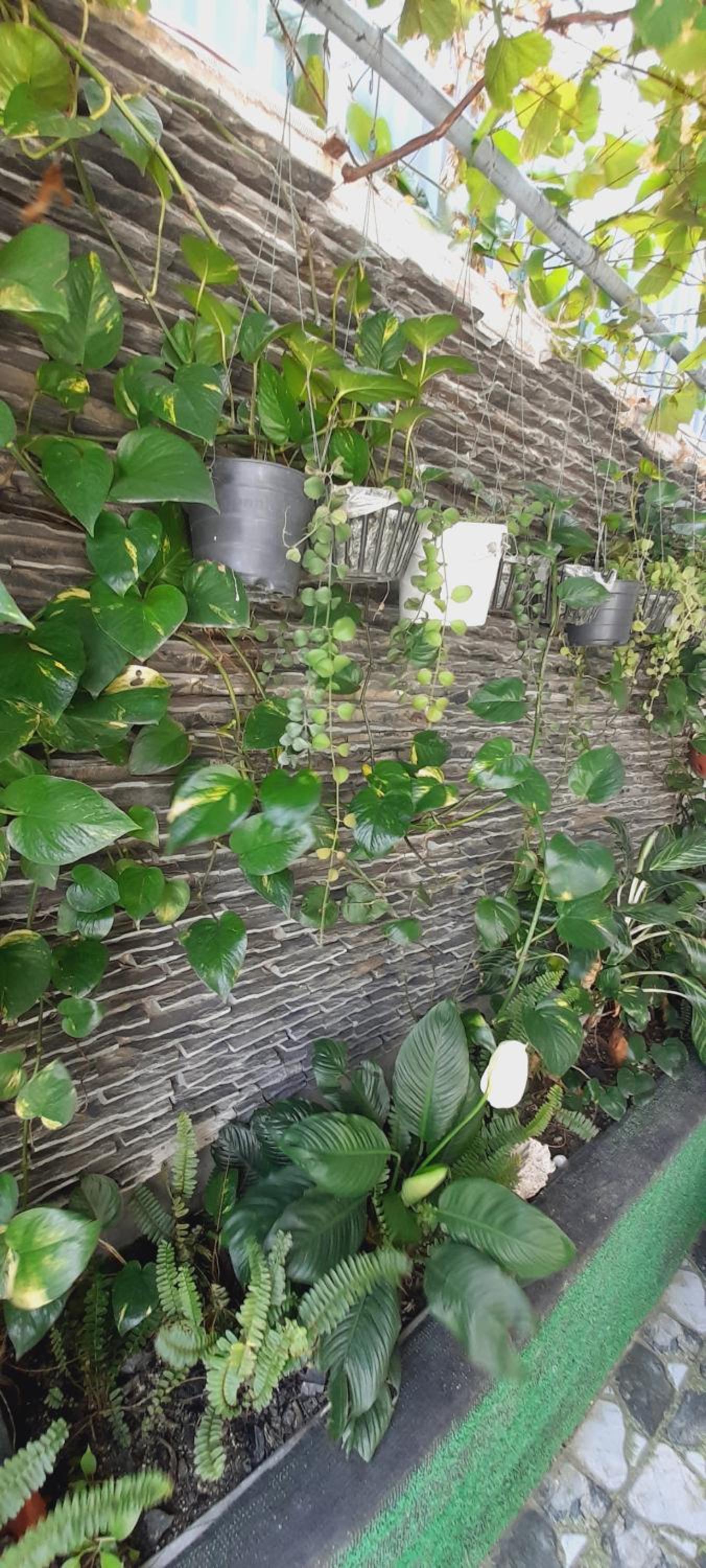 Homestay Miu Miu view 4