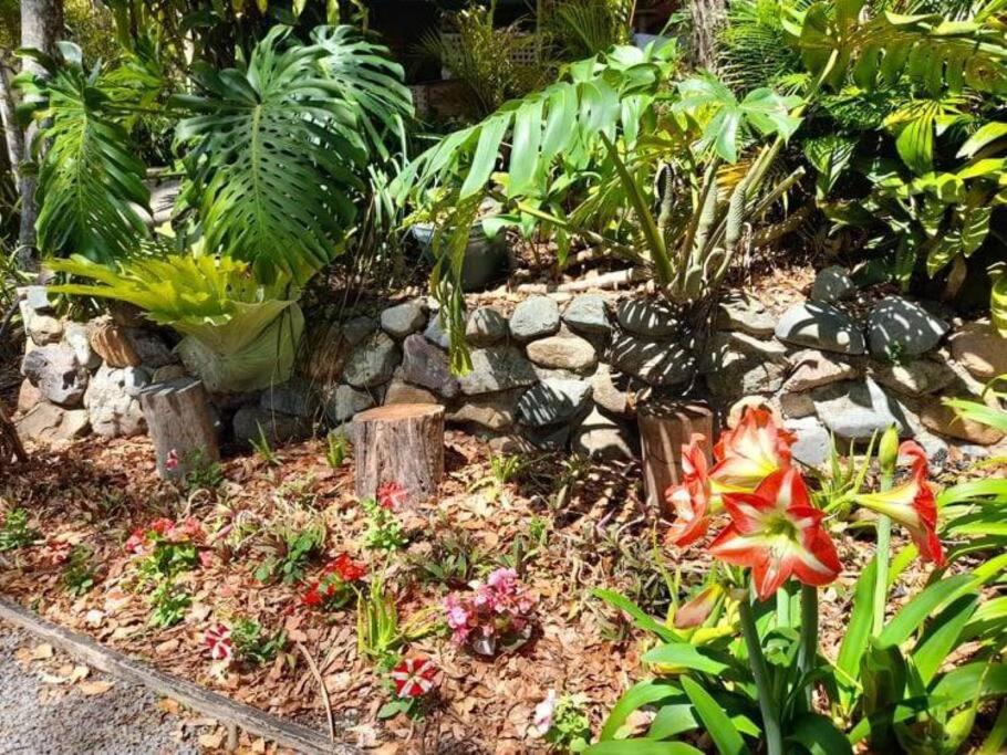 Quirky Cottage in Centre of Maleny, Walk Everywhere