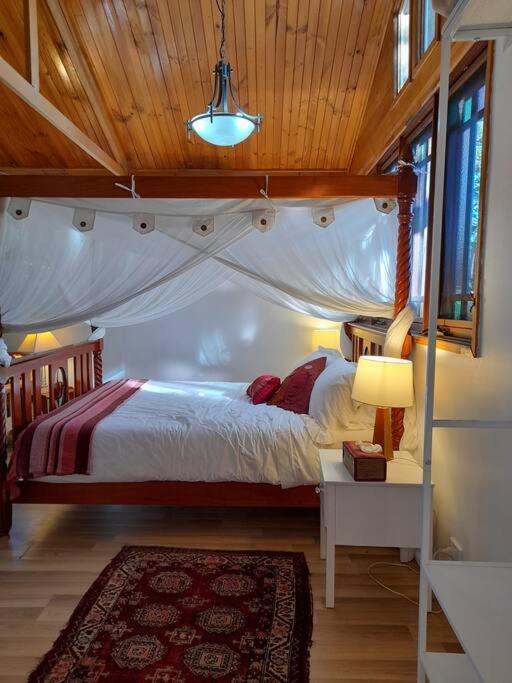 Quirky Cottage in Centre of Maleny, Walk Everywhere