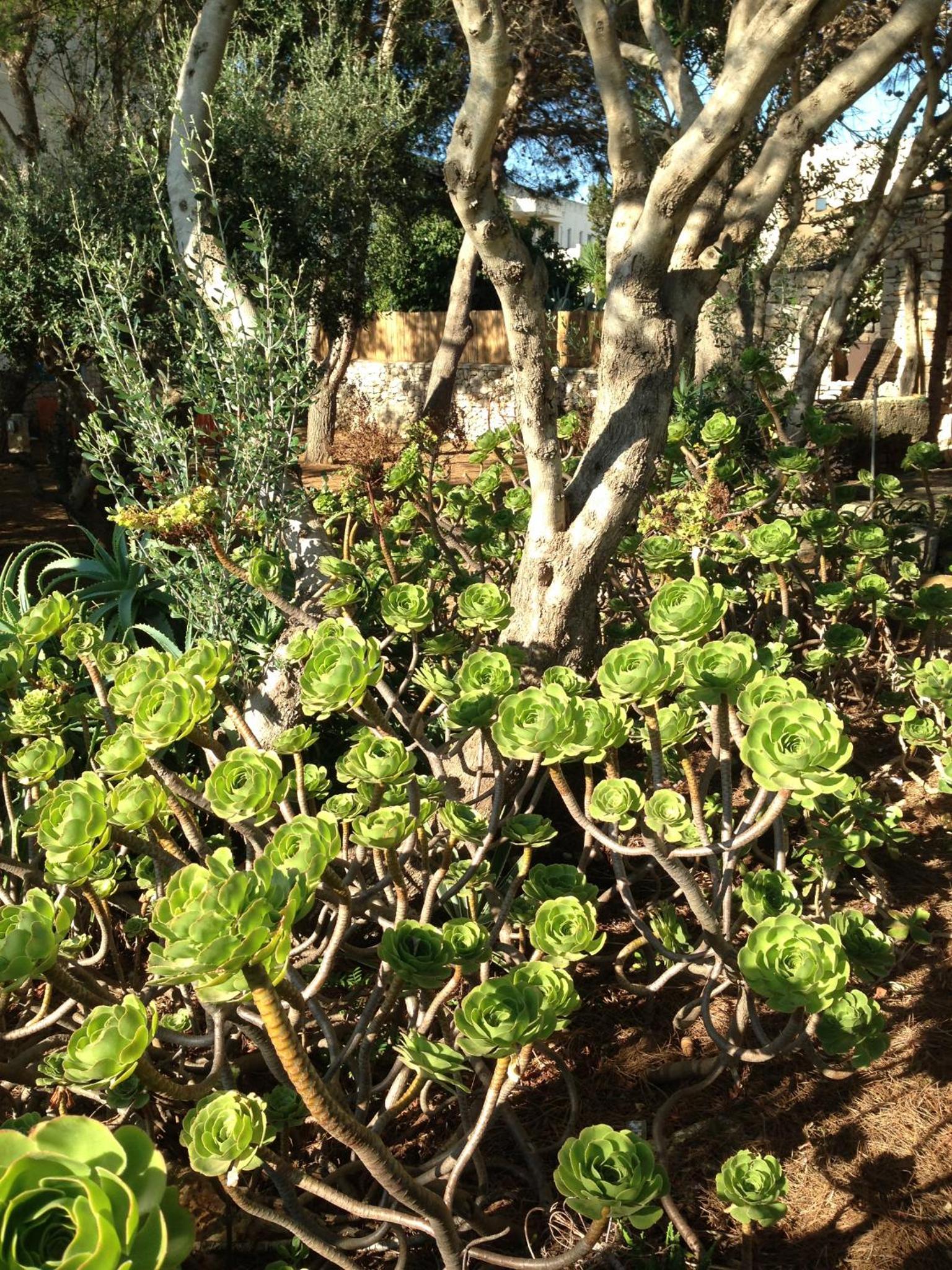 Villa Tina ai Piedi del Faro di Leuca