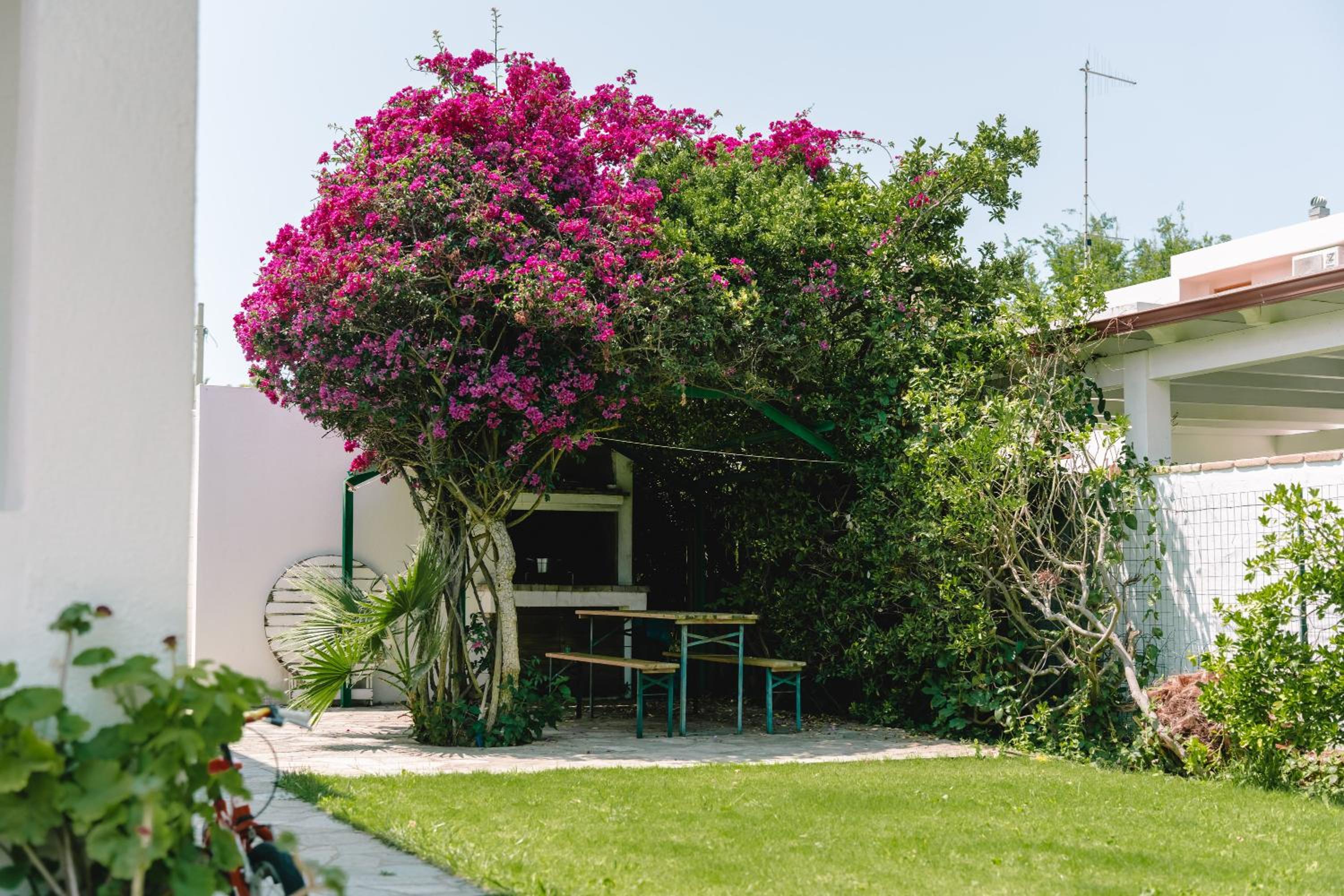 Villa Margherita