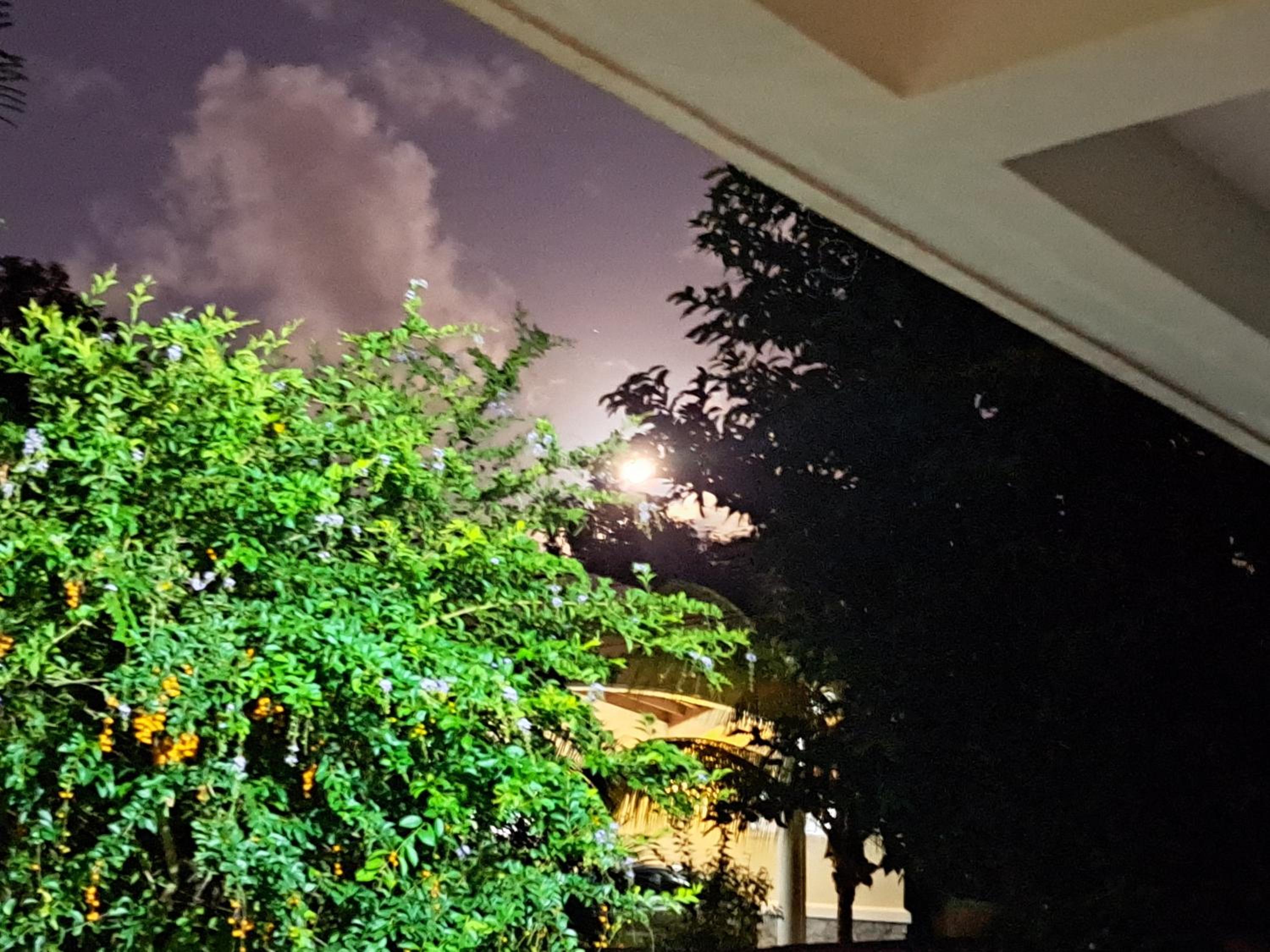 Belombre River Villa photo 2