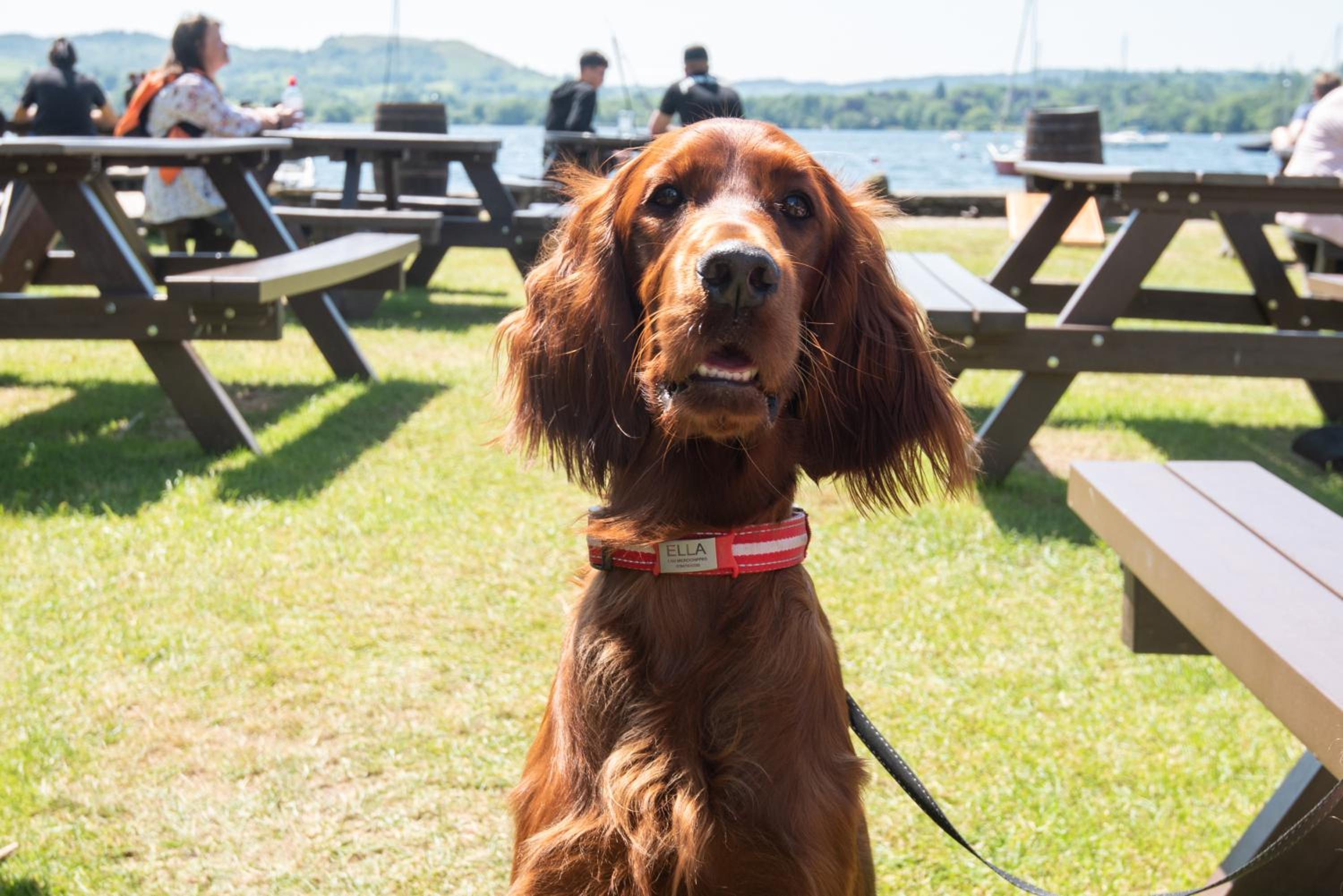 The Wateredge Inn, Ambleside- The Inn Collection Group