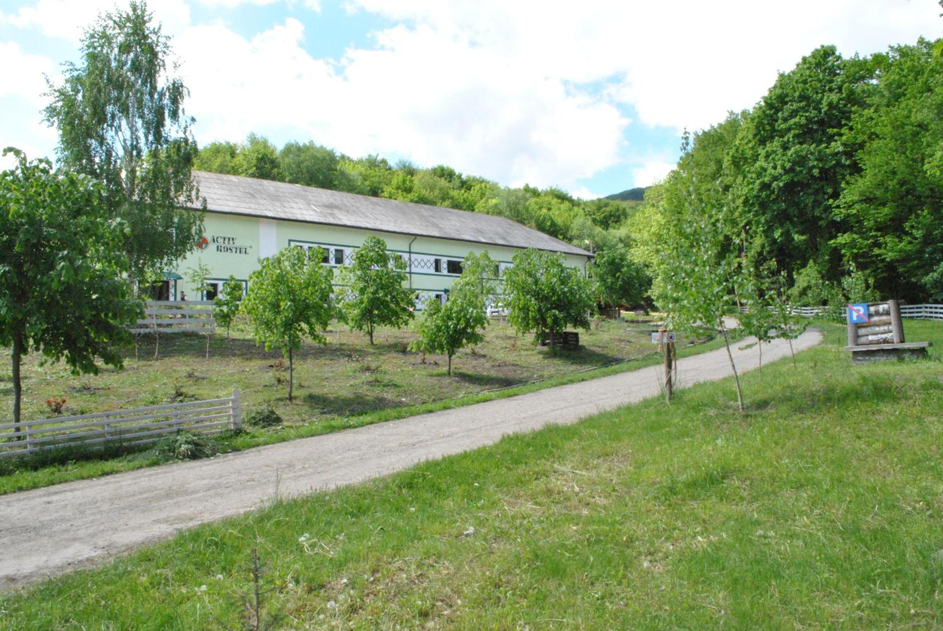 Photo 28