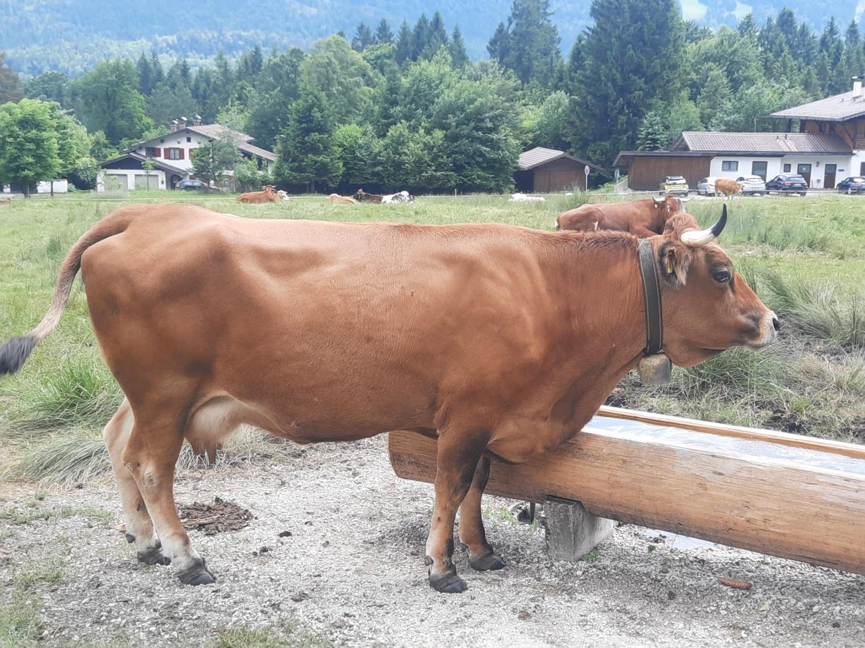 Fischer`s Postresidenzen Ettal