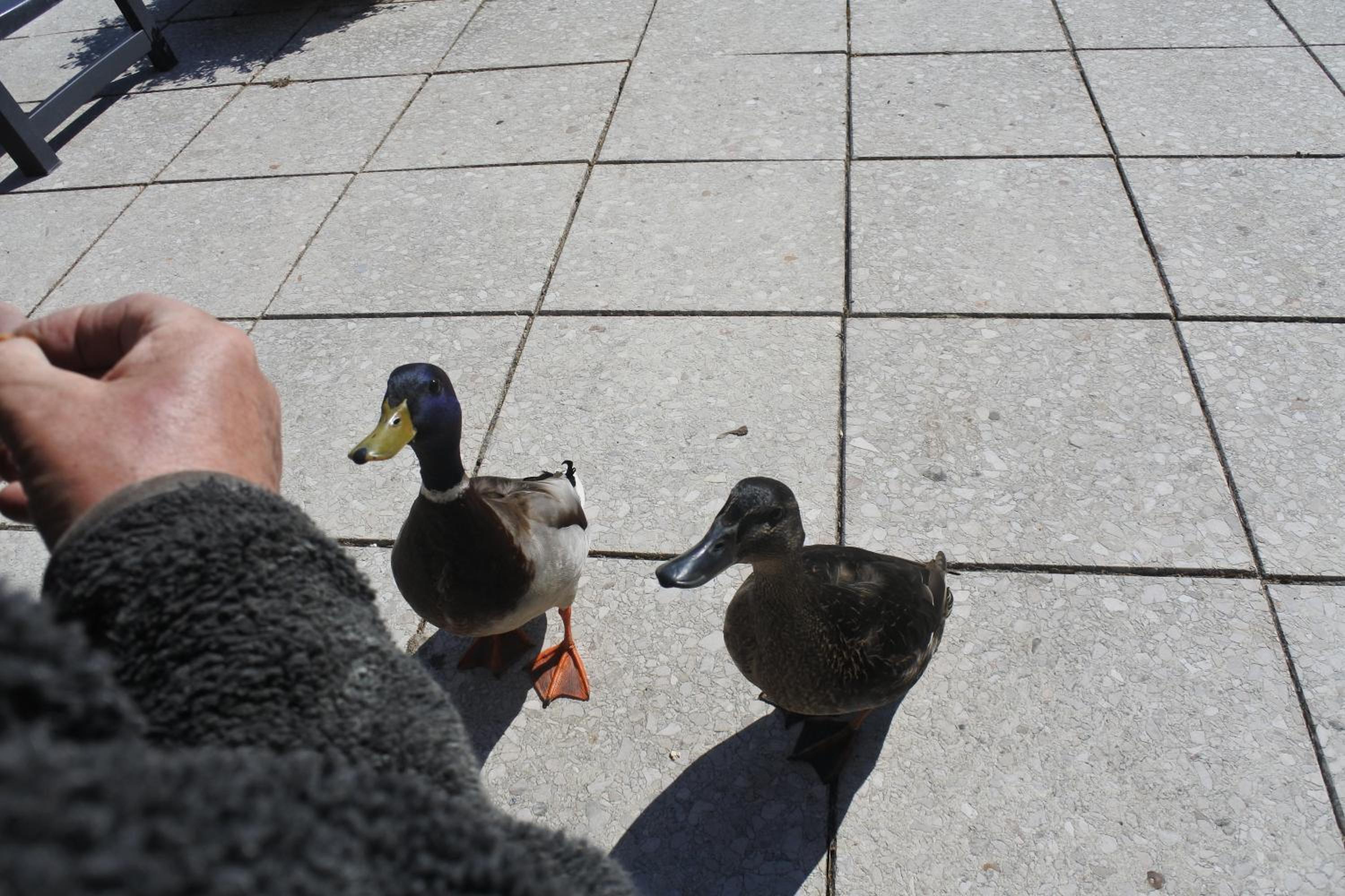 Photo 16