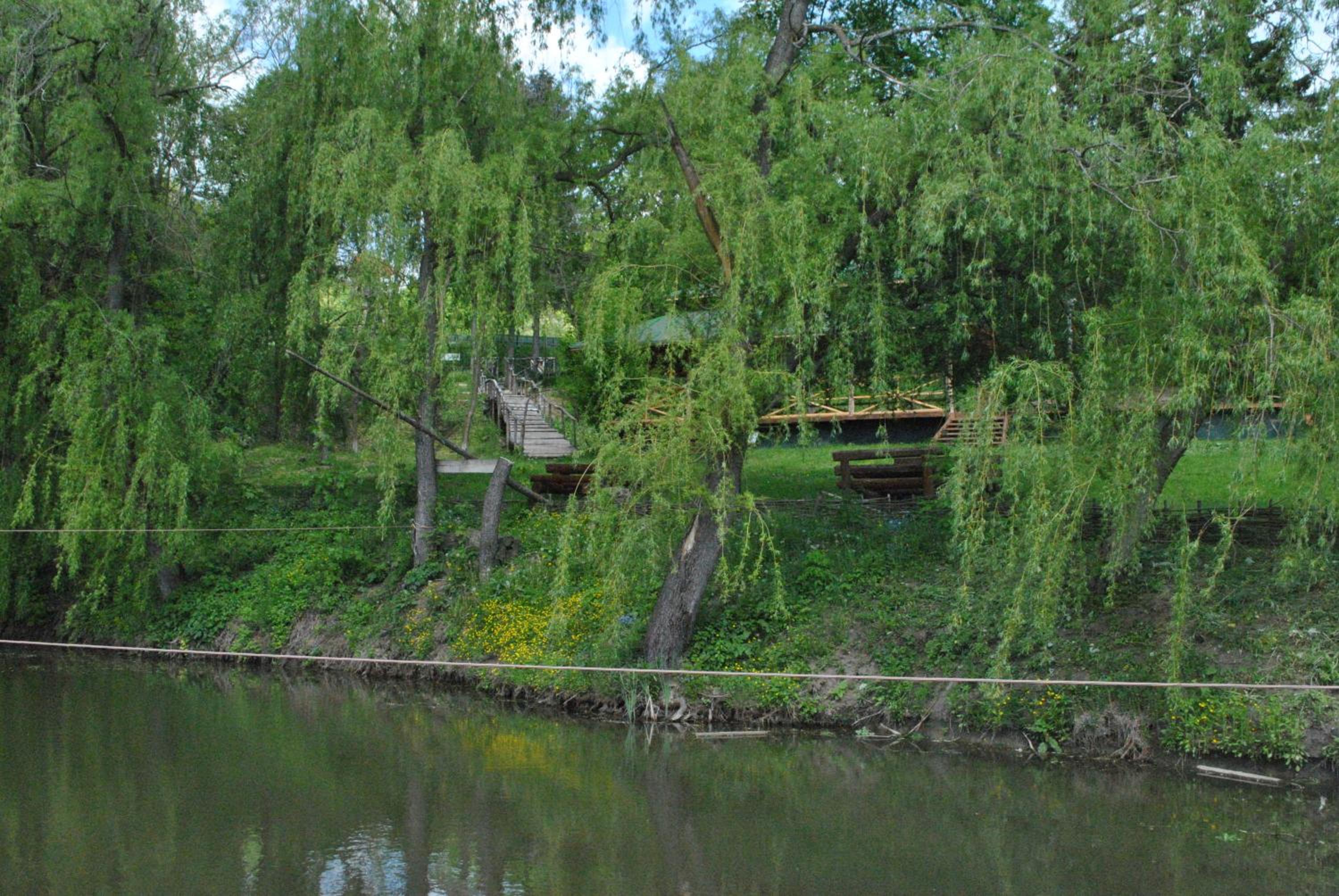 Photo 30