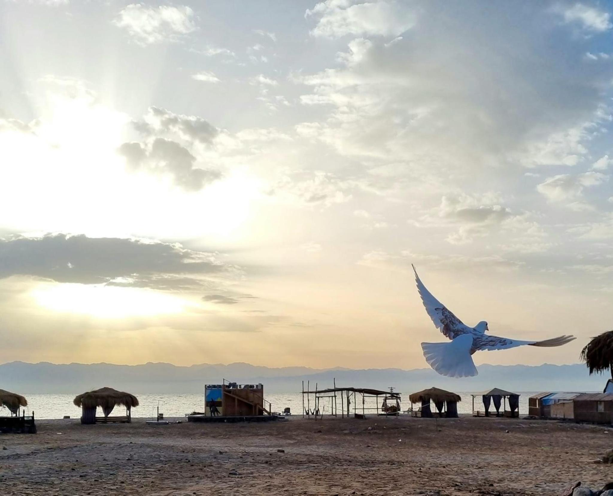 Al Khalil Beach Camp