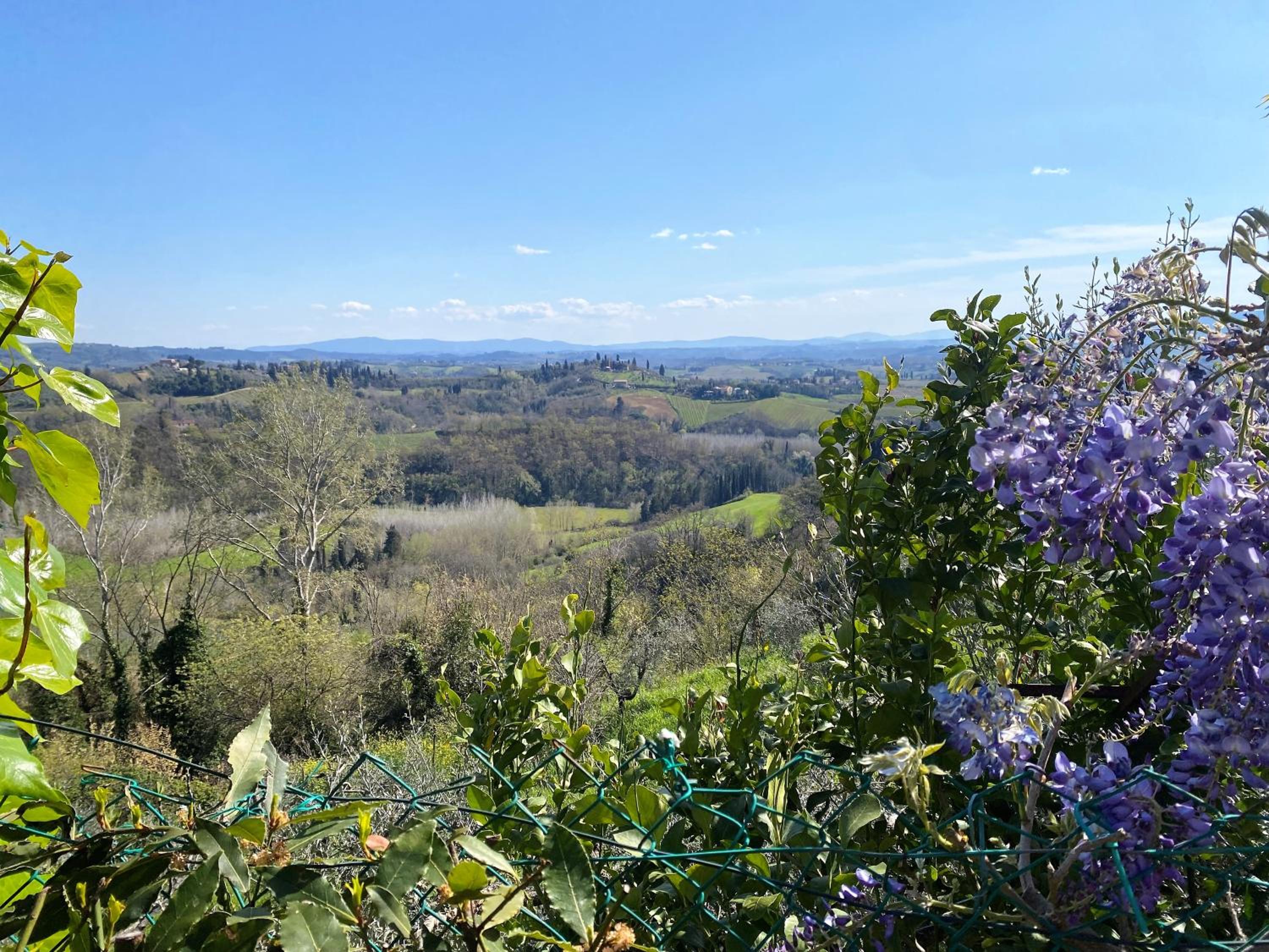 Tognazzi Casa Vacanze - Panoramic Villa