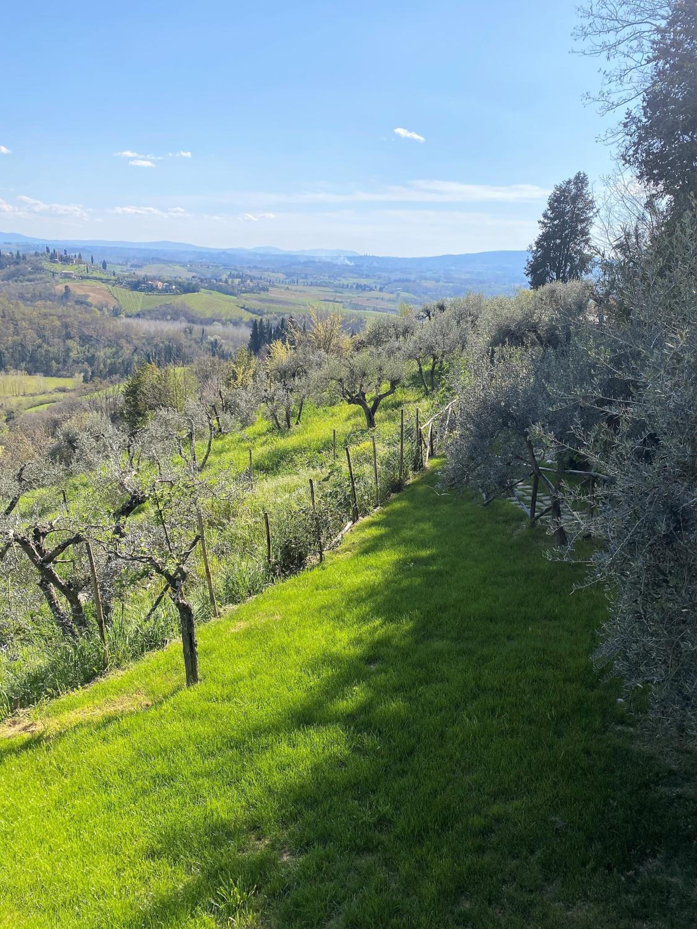 Tognazzi Casa Vacanze - Panoramic Villa