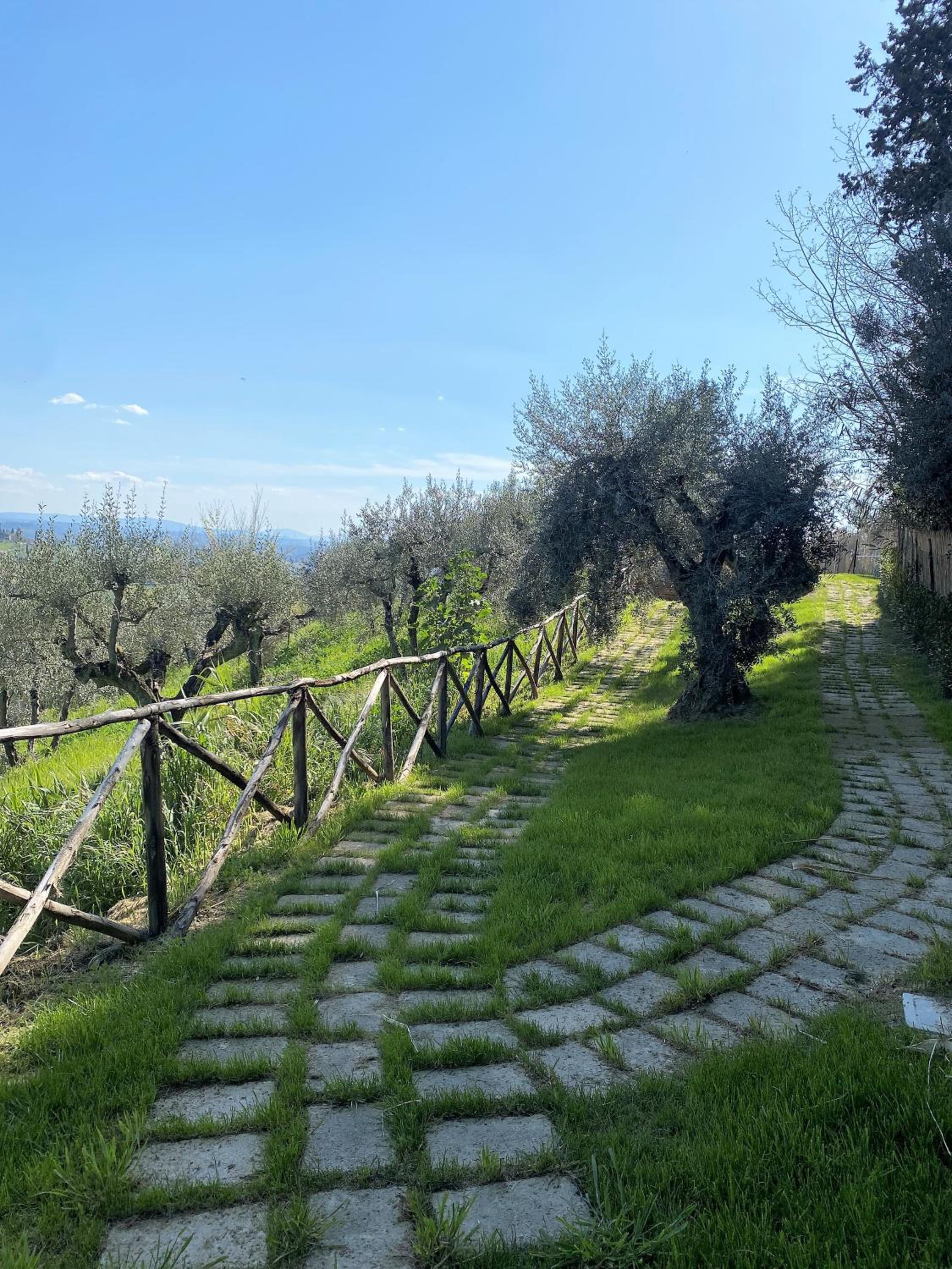 Tognazzi Casa Vacanze - Panoramic Villa