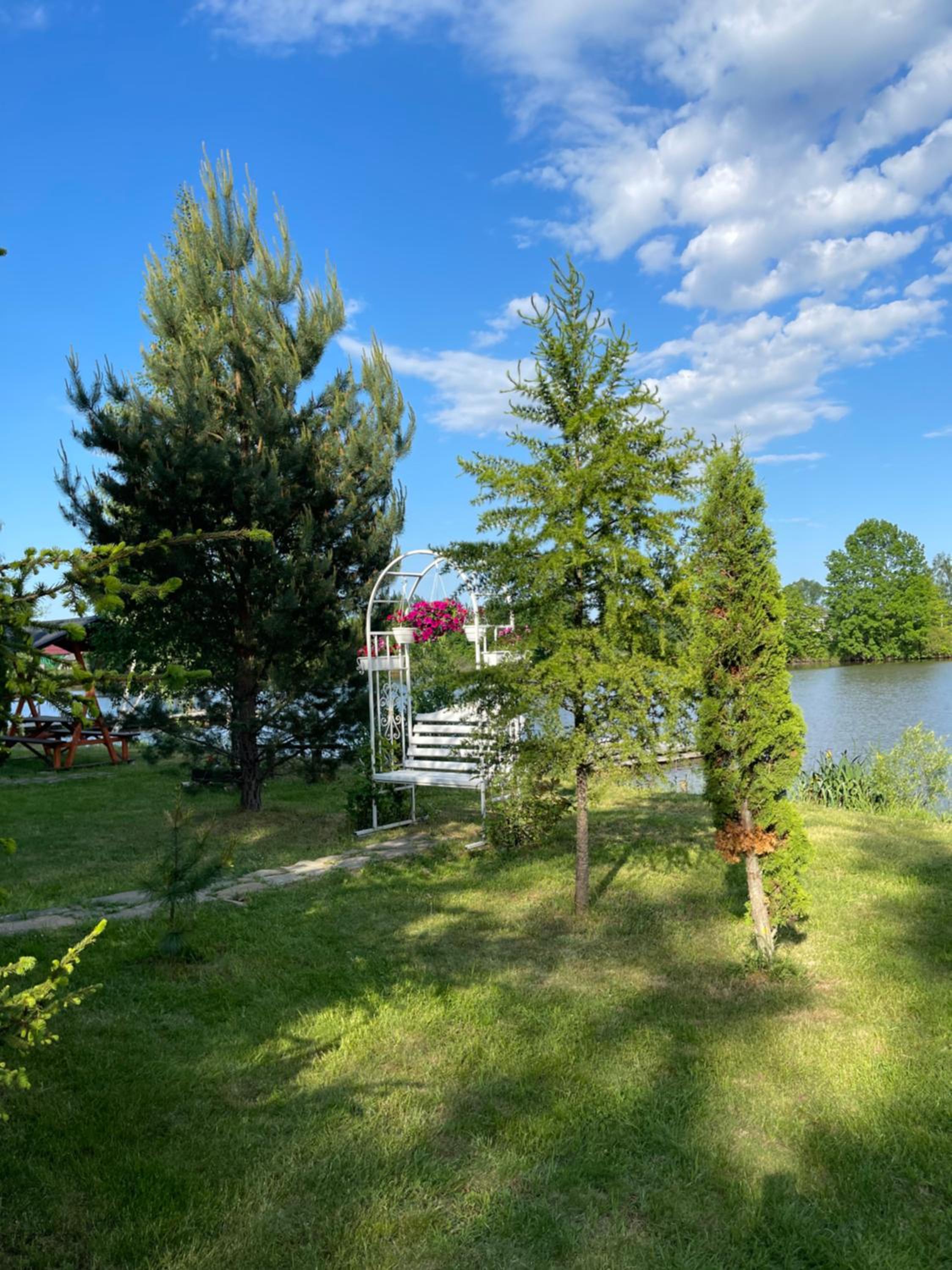 Photo 31