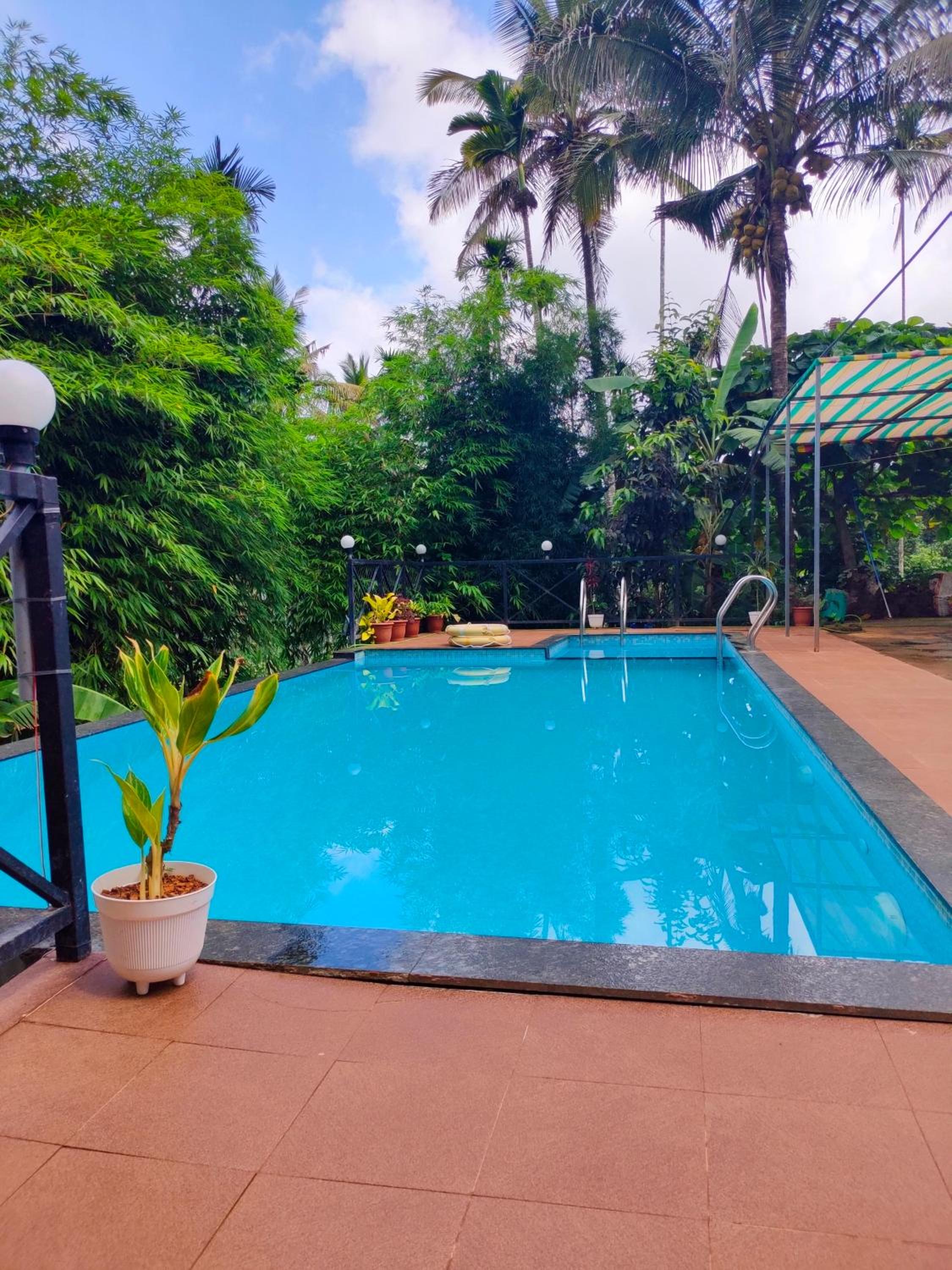 Golden Cypress Resort with Pool -Wayanad view 3