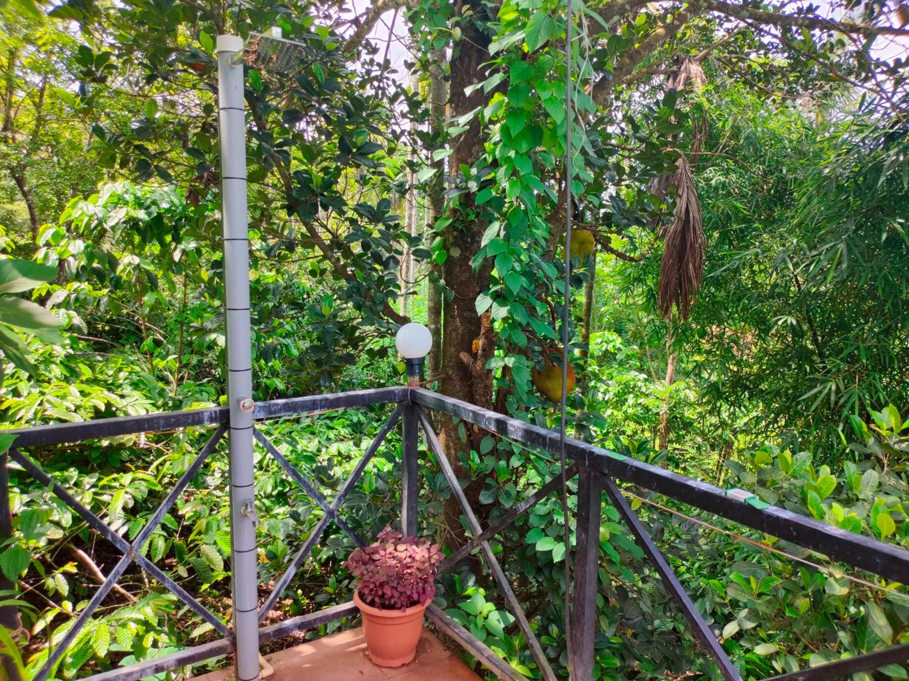 Golden Cypress Resort with Pool -Wayanad view 2
