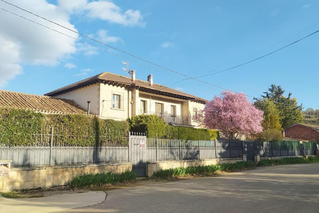 Apartamentos Wambalore photo 1