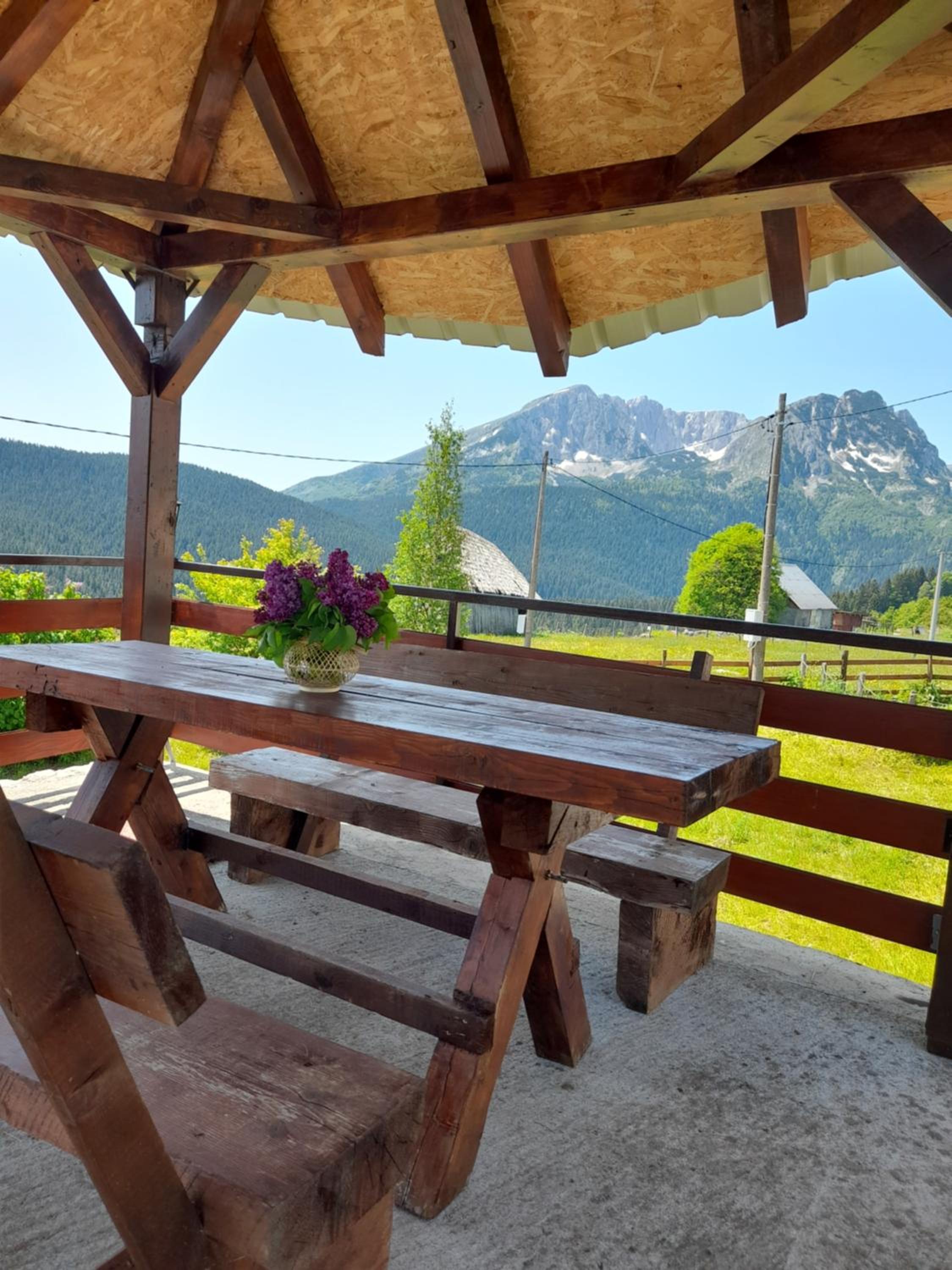 DURMITOR APARTMAN Pitomine view 3