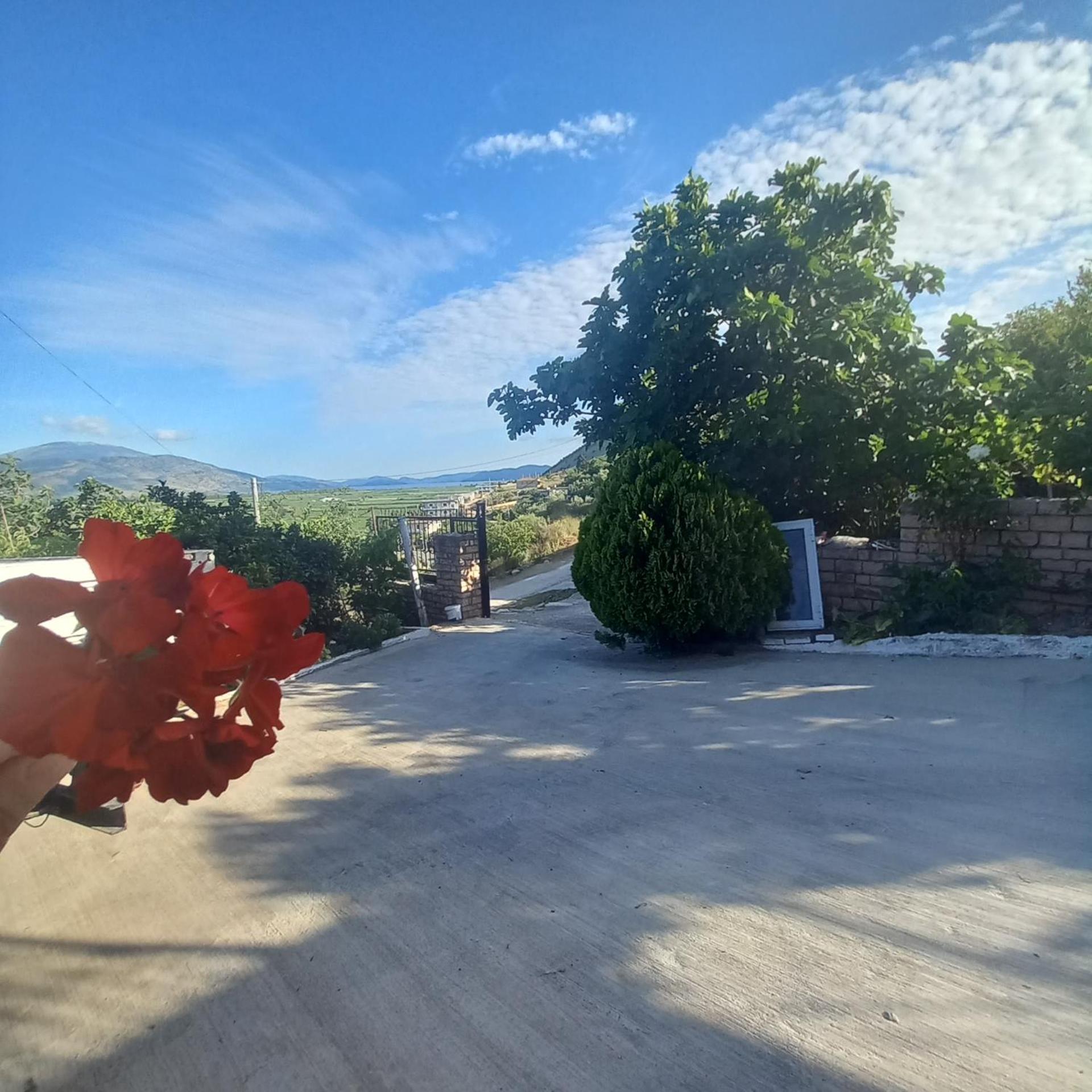 VILA PASHA