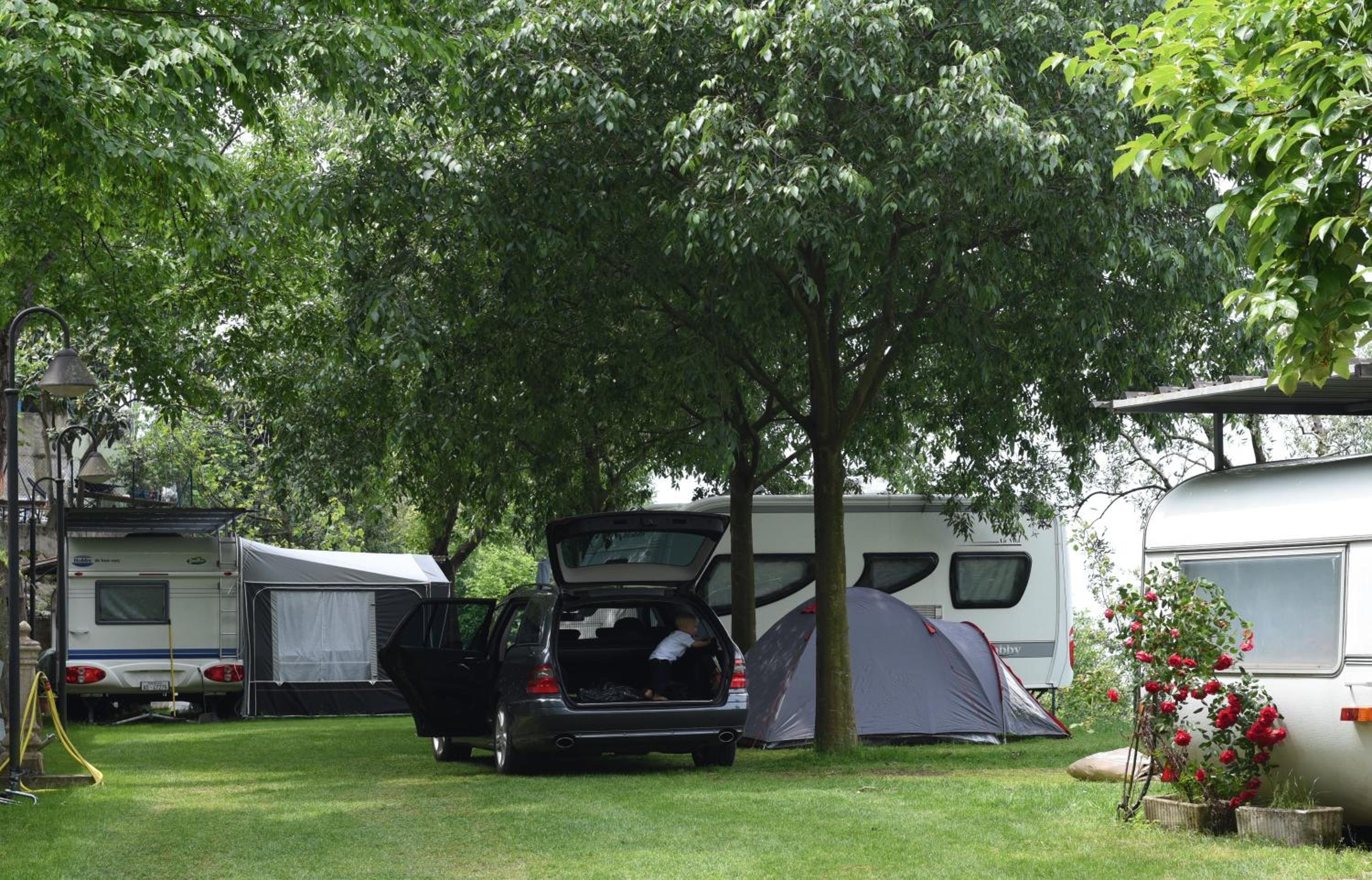 Camping Alpino - Nature Village view 5