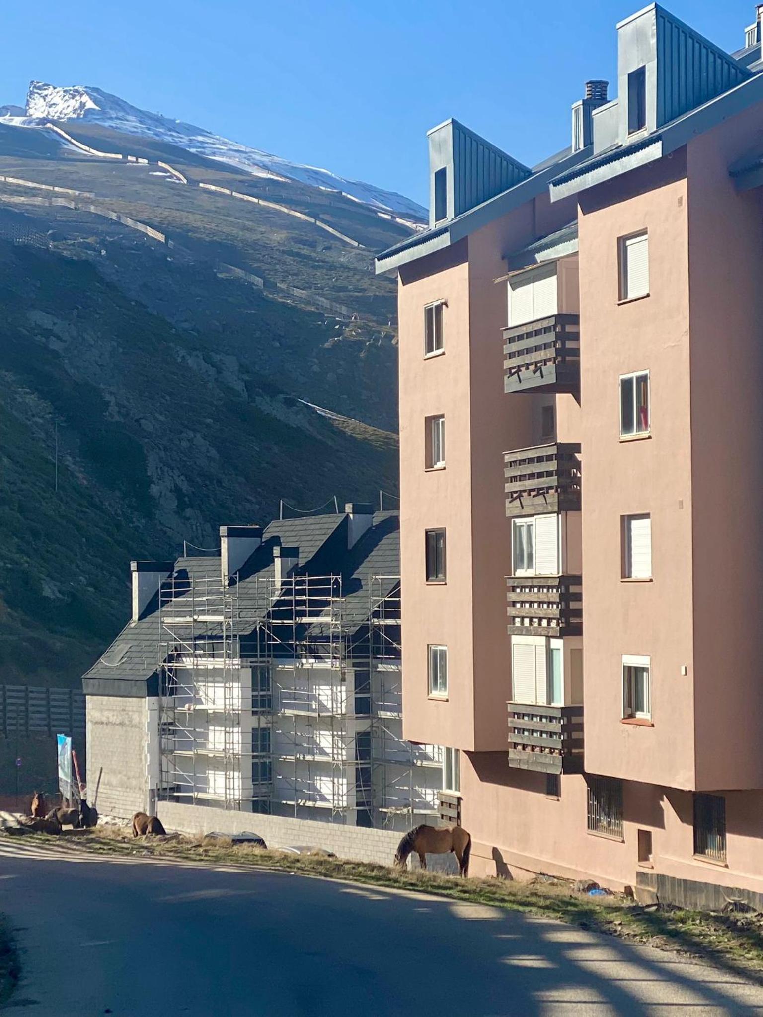 SAINT MORITZ PREMIUM
