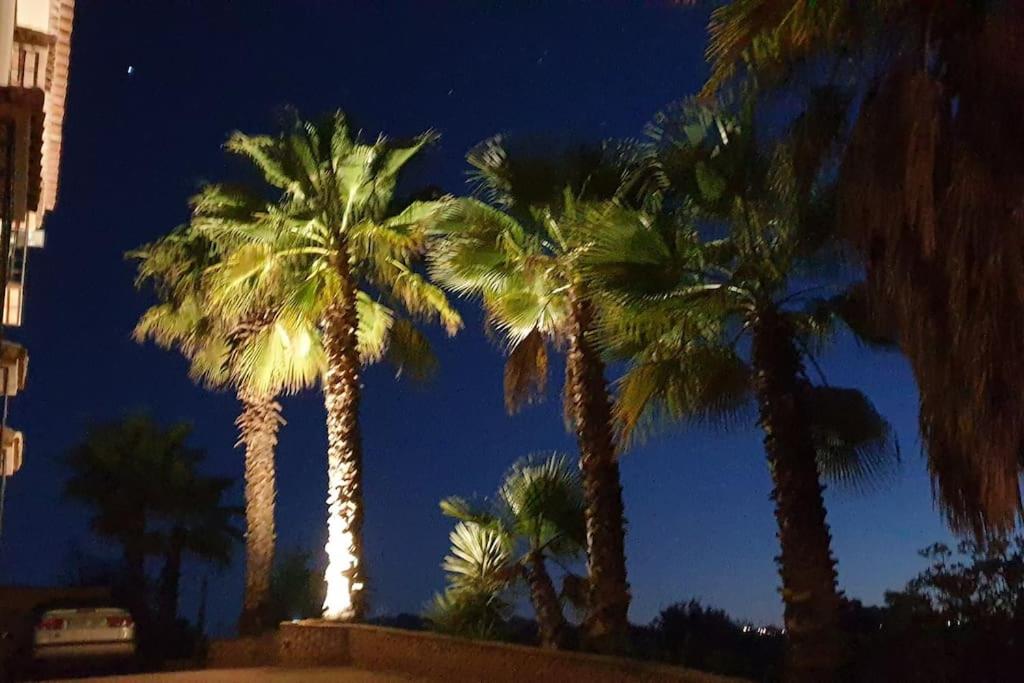 Finca los Arcos