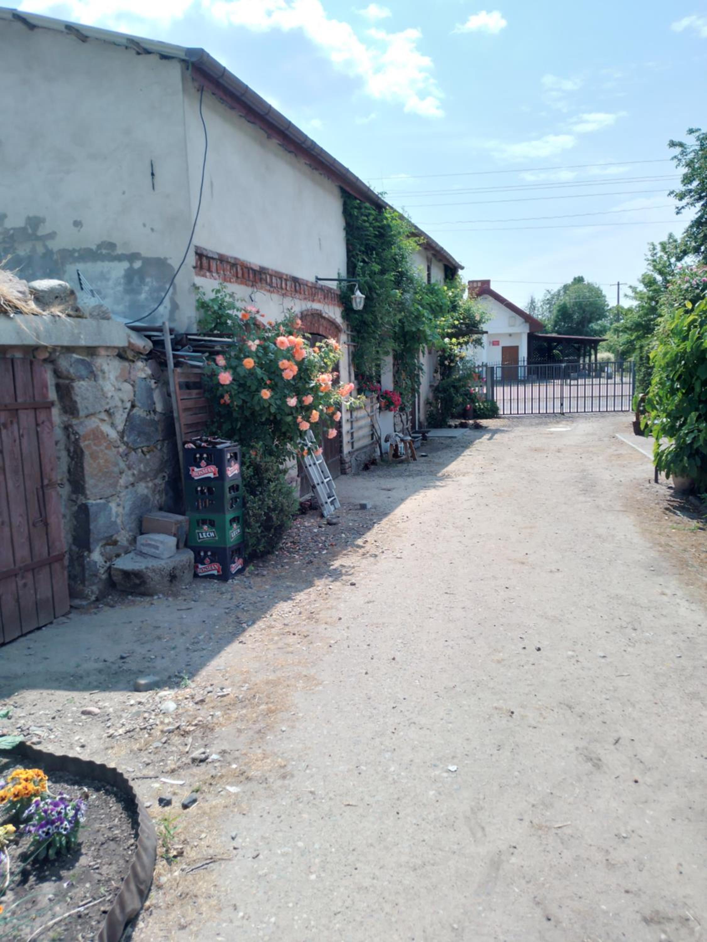 Photo 43