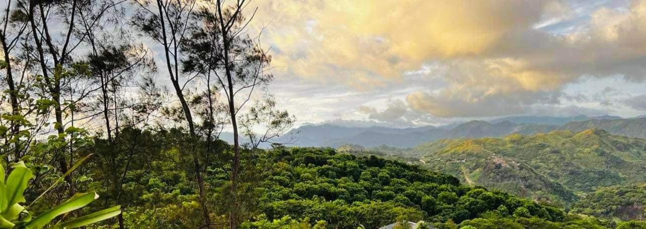 Camp-Ula view 4
