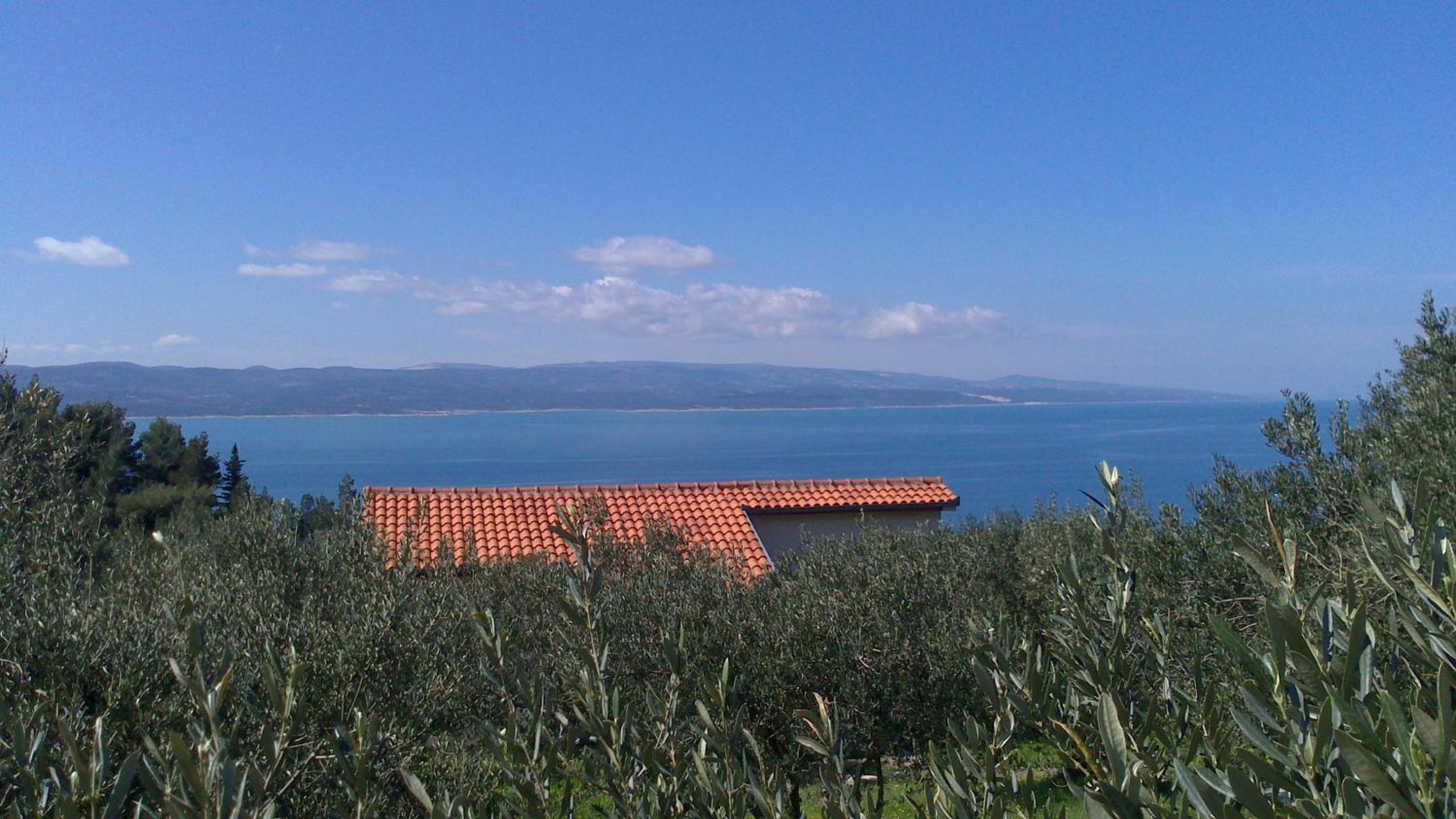Holiday Home Oliveta view 3