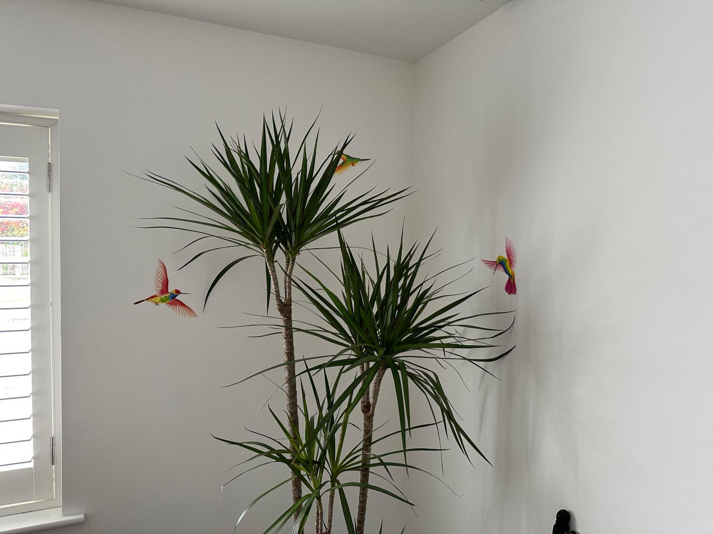 Photo 26