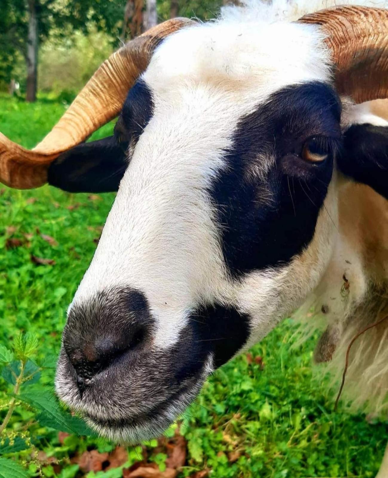 Kuća za odmor 