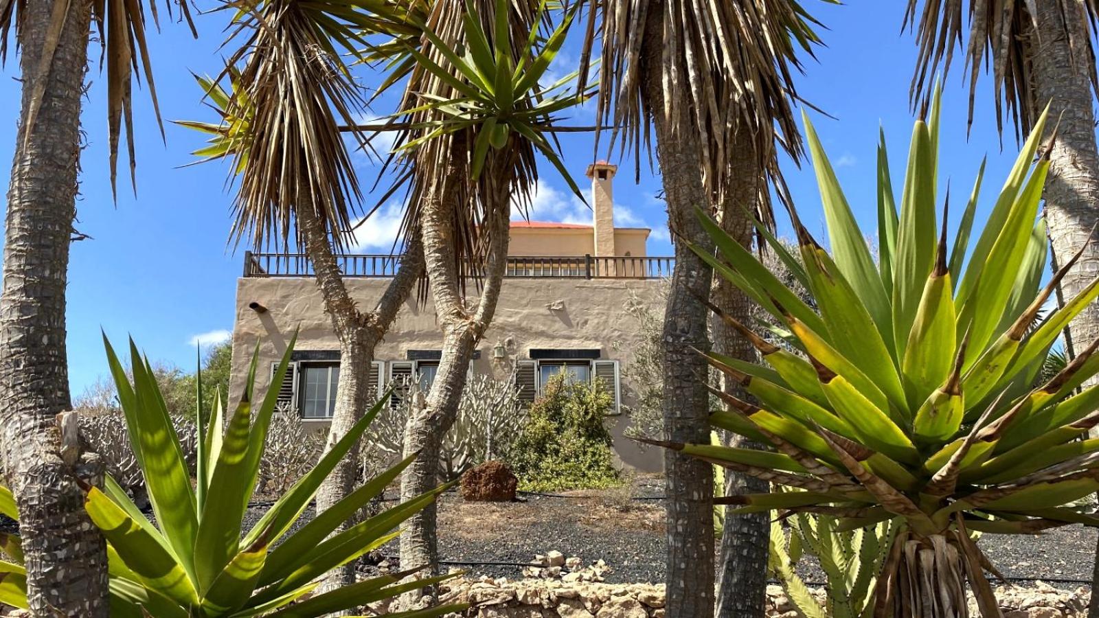 Casa Surf La Higuerita