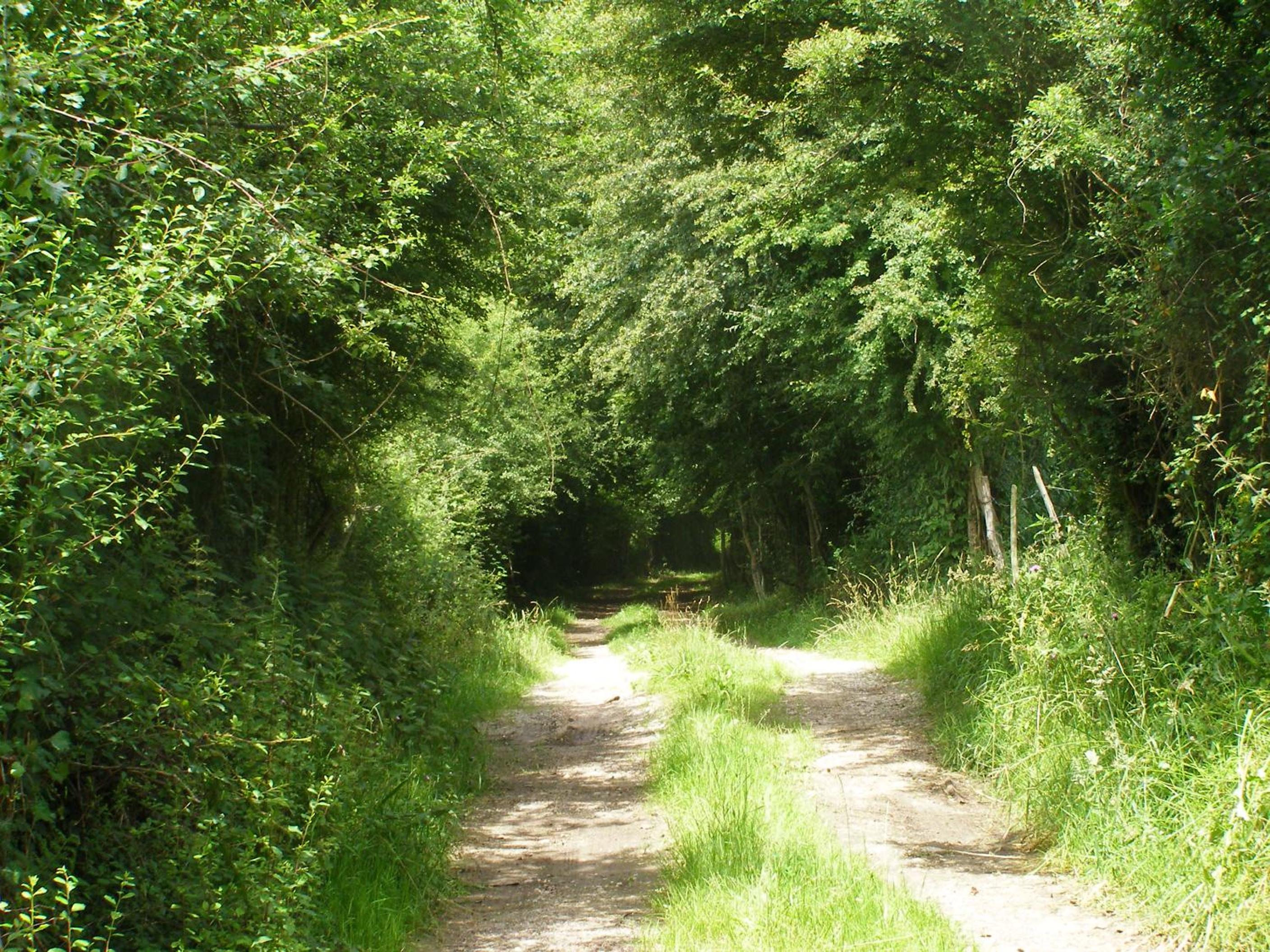 El Pedrueco turismo rural