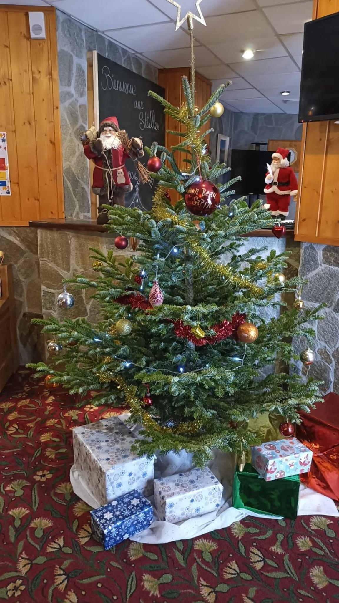 Hôtel Les Sittelles La Plagne Montalbert