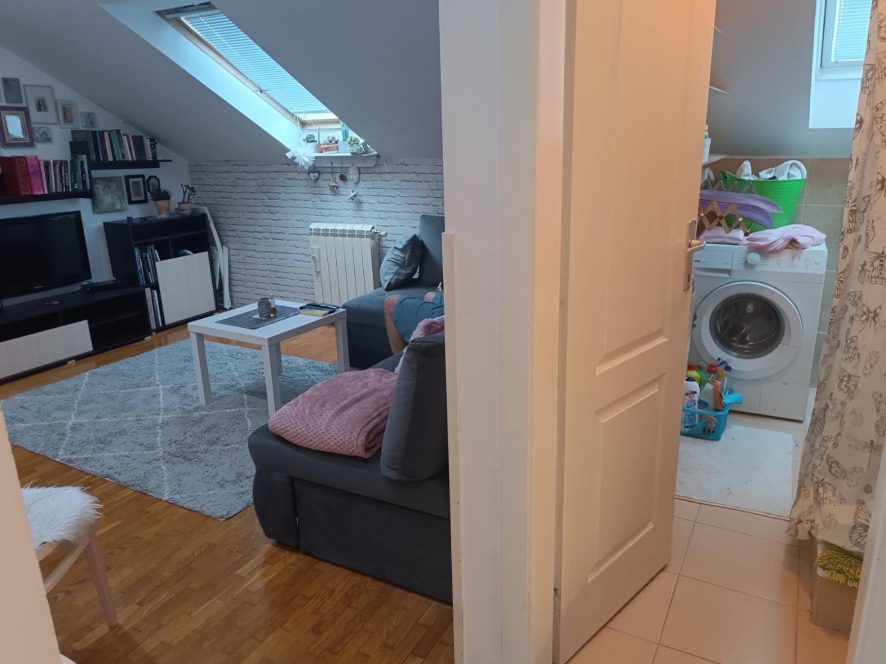Apartment for EXIT FESTIVAL view 4