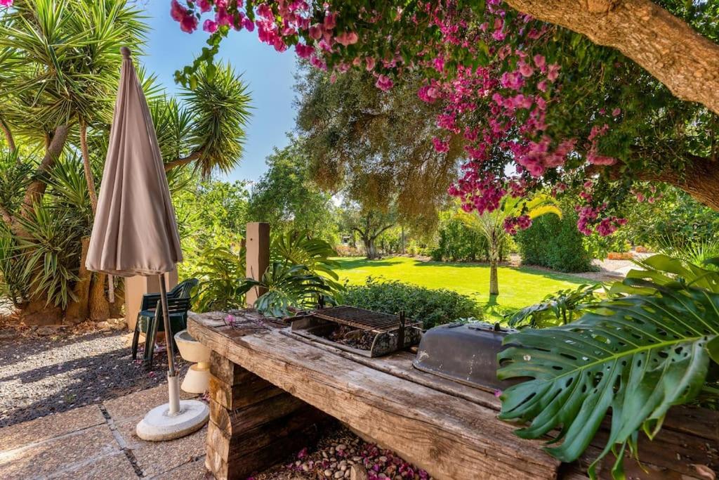 Entire Pool House at the Quinta view 5