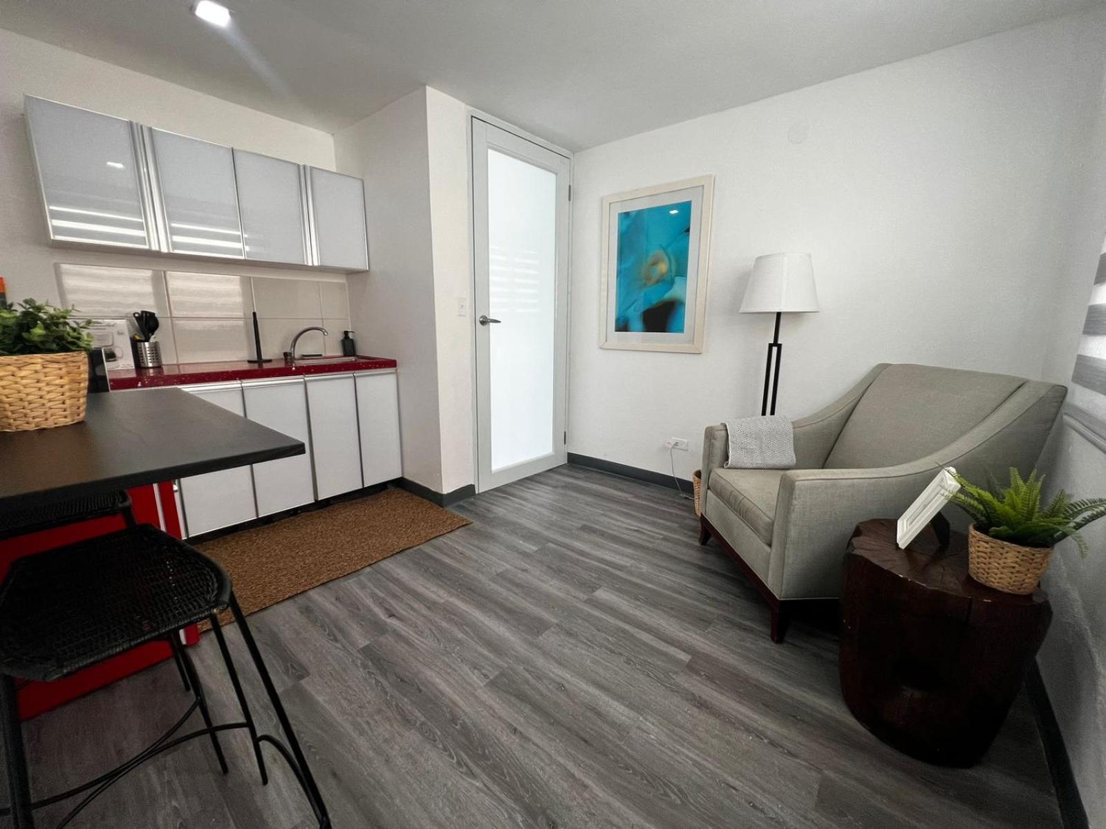 Janer House at San Juan - Property Image 3