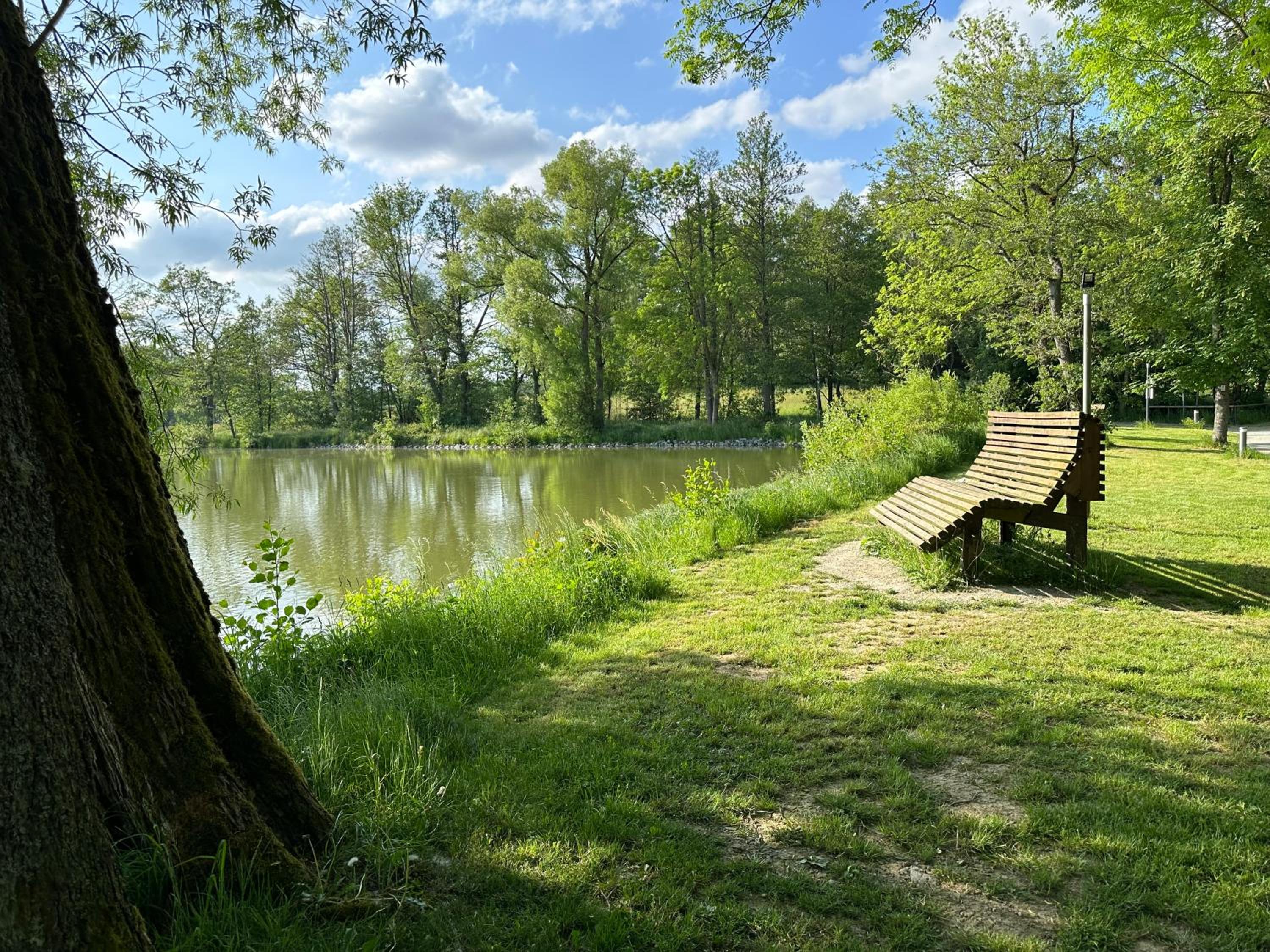 Frankenwald Ferienhaus FourStars am See in Lichtenberg, Bayern, Oberfranken, Bad Steben - Hof -Saale, Rennsteig