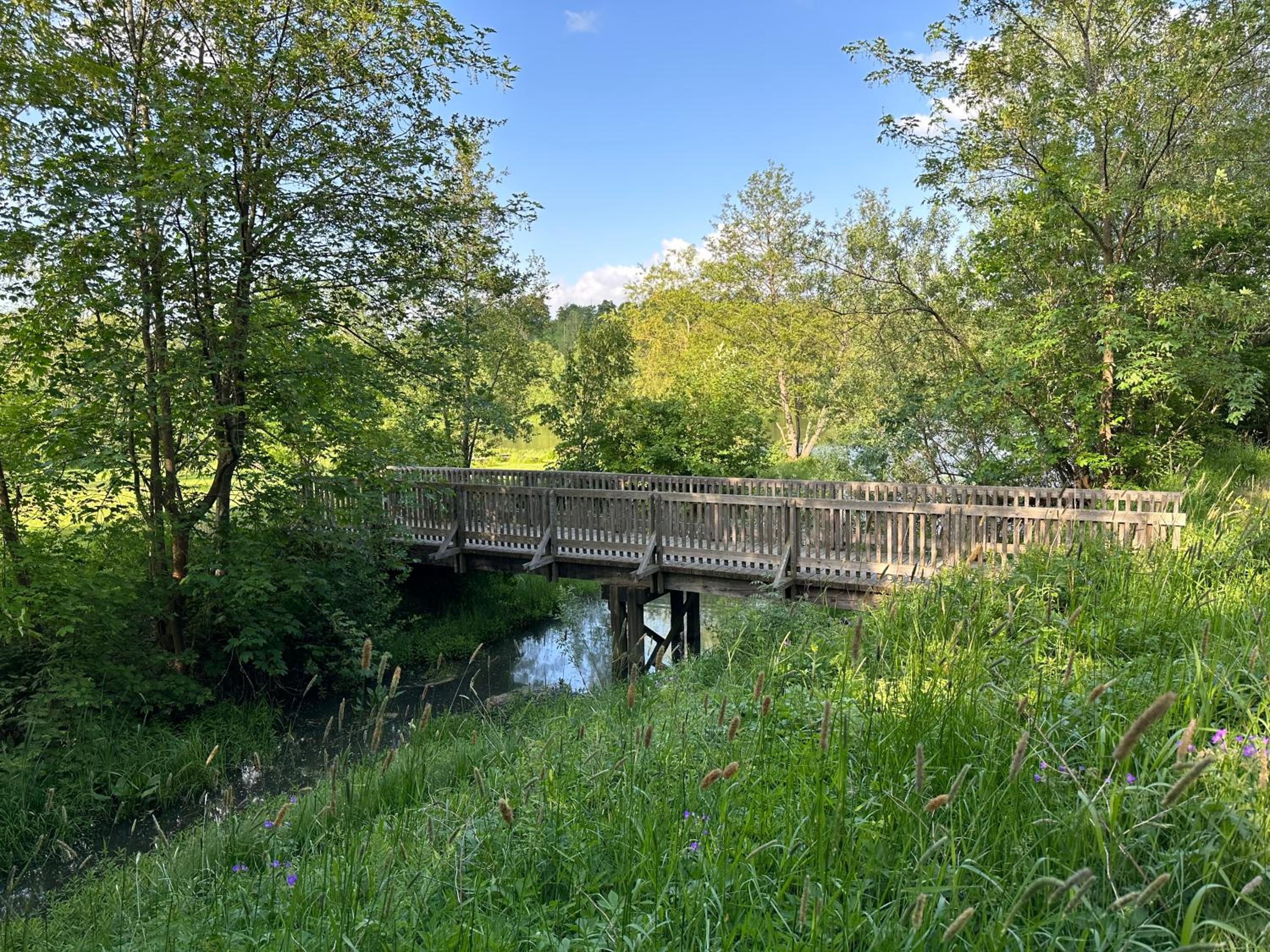 Frankenwald Ferienhaus FourStars am See in Lichtenberg, Bayern, Oberfranken, Bad Steben - Hof -Saale, Rennsteig