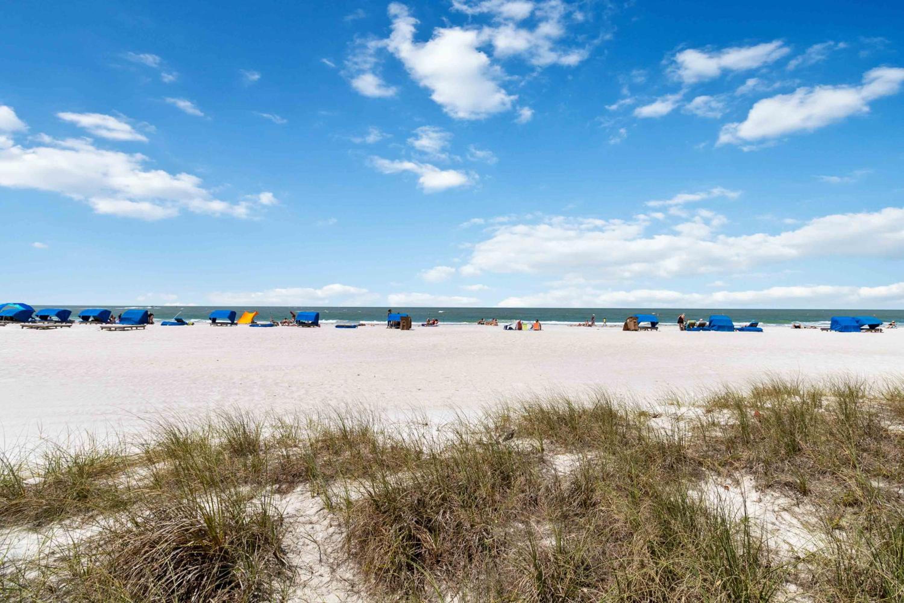 Direct Beachfront Balcony - Sandy Shores #201