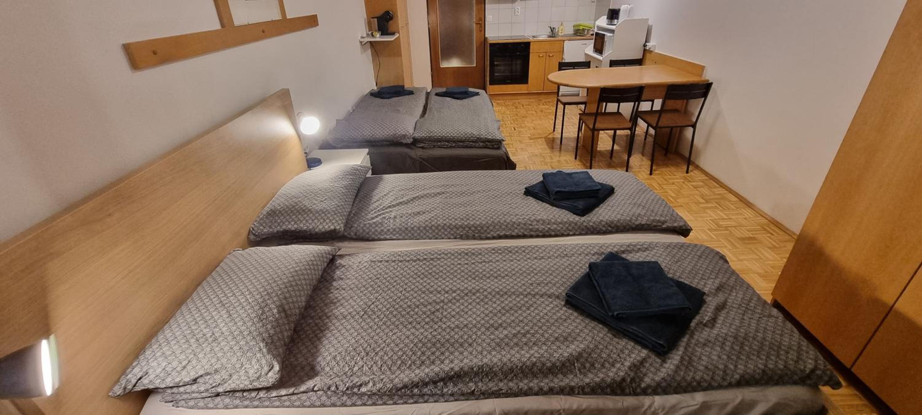 Apartma Luka with private parking view 4