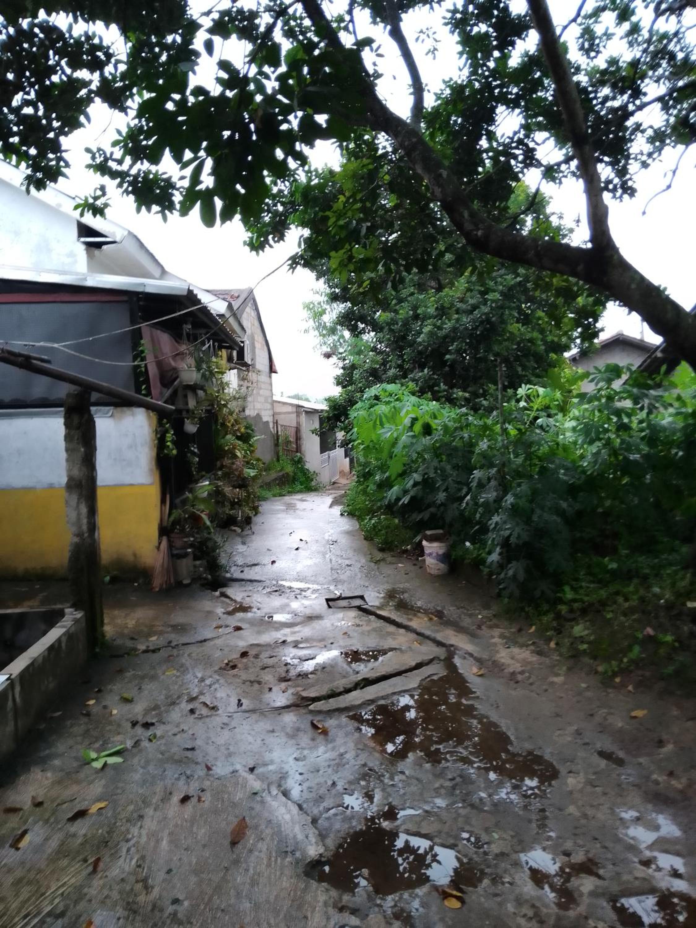 Home Stay Tanya By 25 view 4