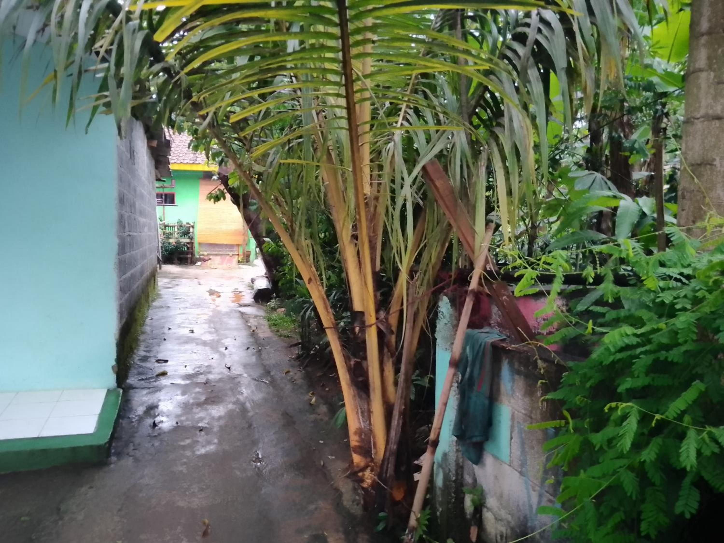 Home Stay Tanya By 25 view 5